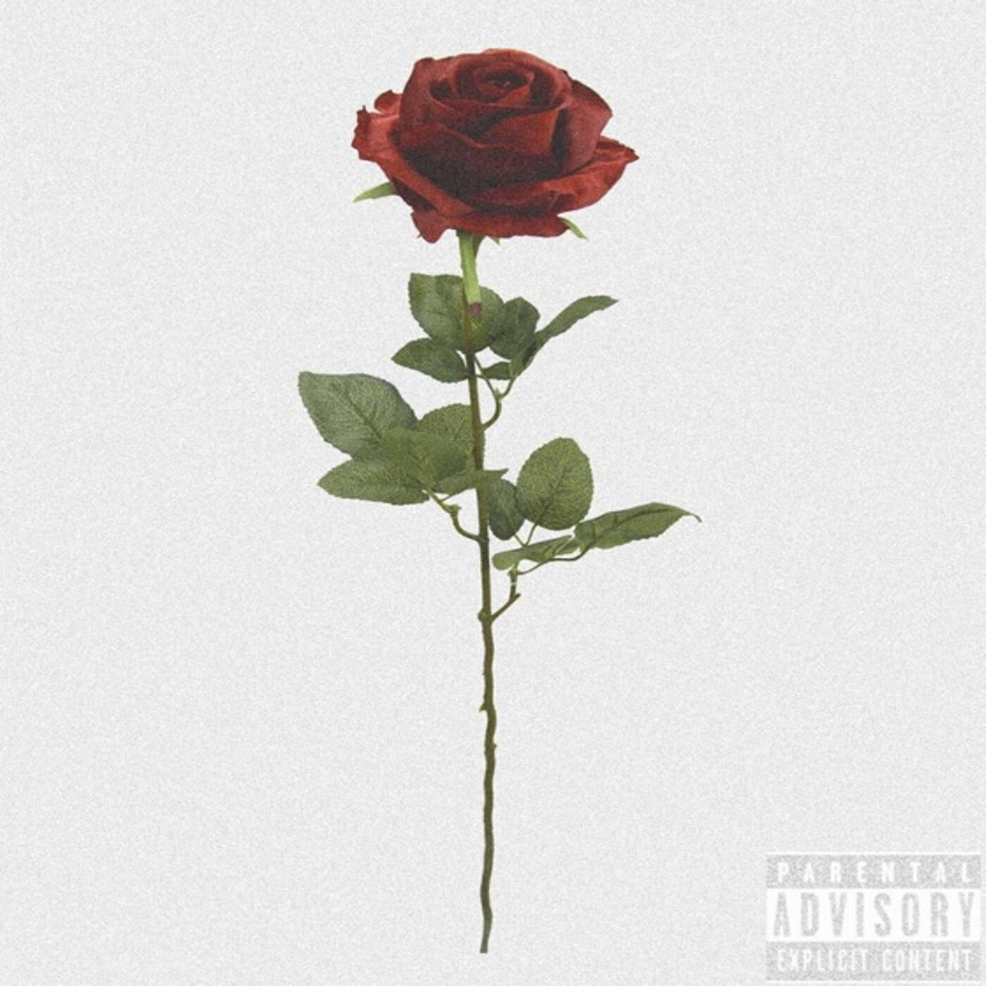 Релиз L.O.V.E.U.2