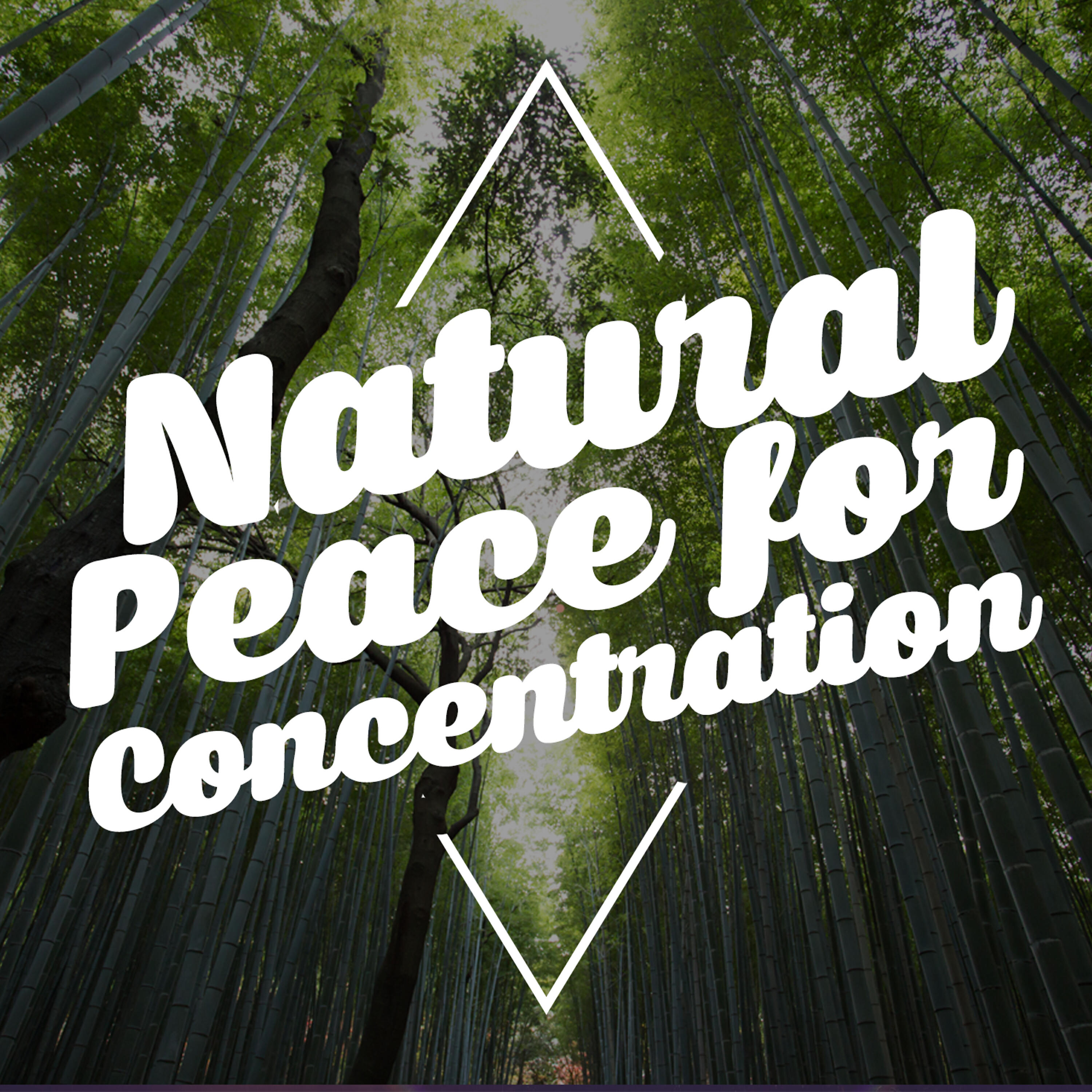 Релиз Natural Peace for Concentration