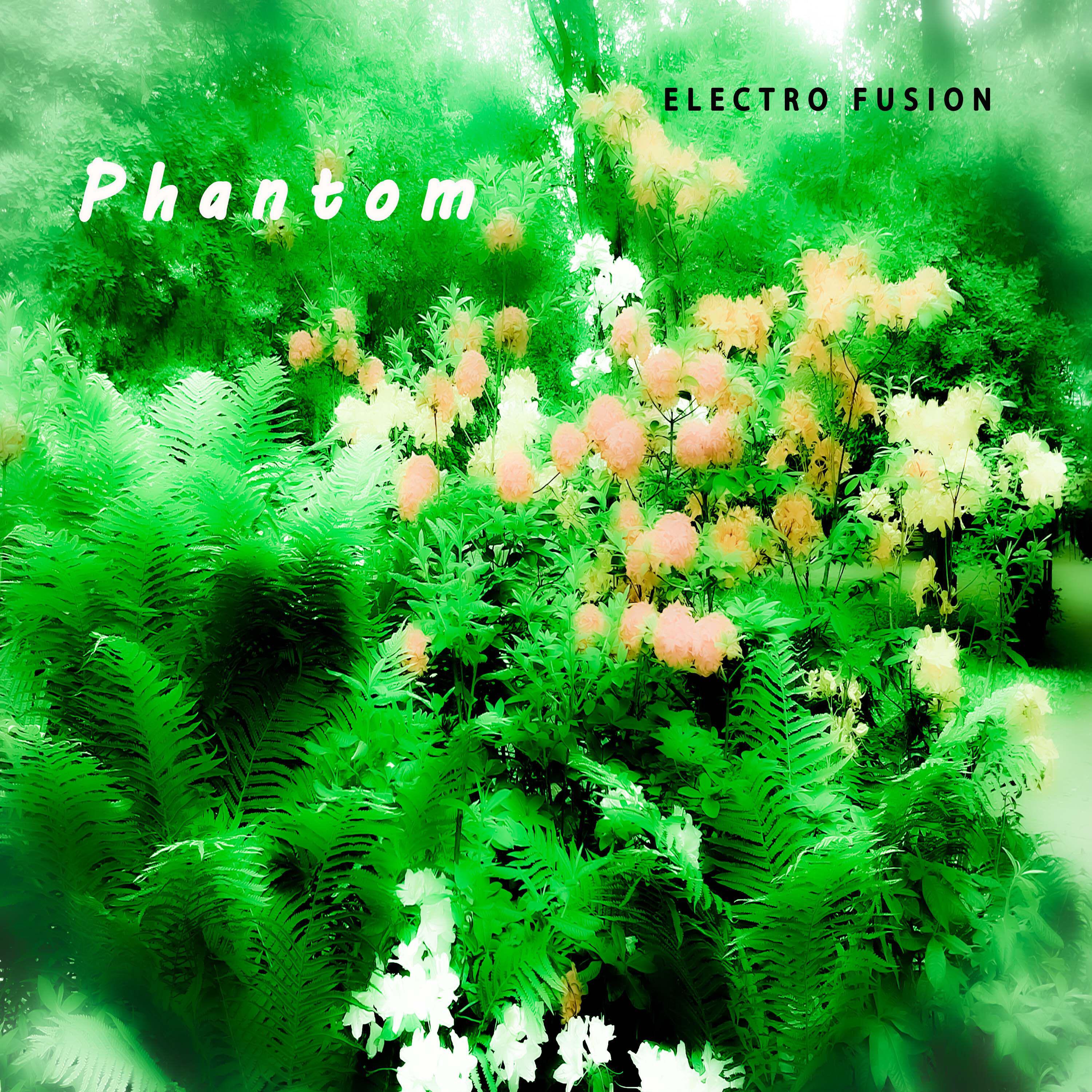 Постер альбома Phantom