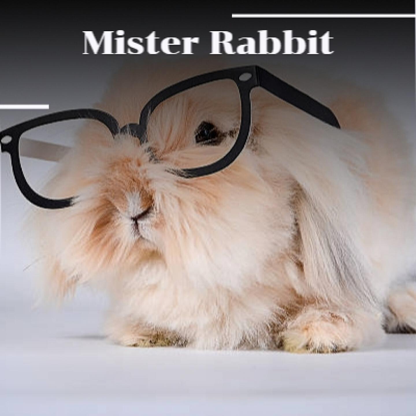 Релиз Mister Rabbit