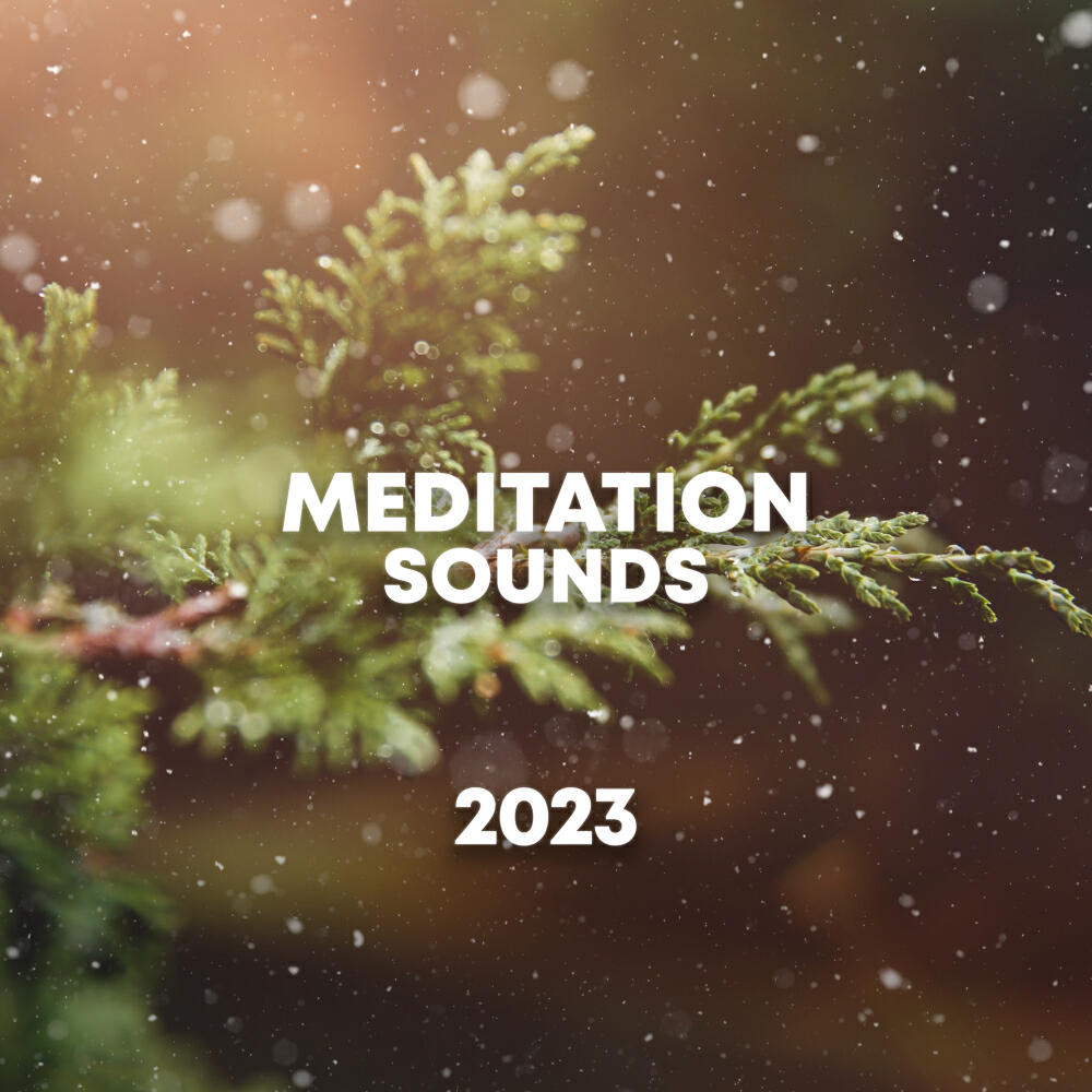 Релиз Meditation Sounds 2023