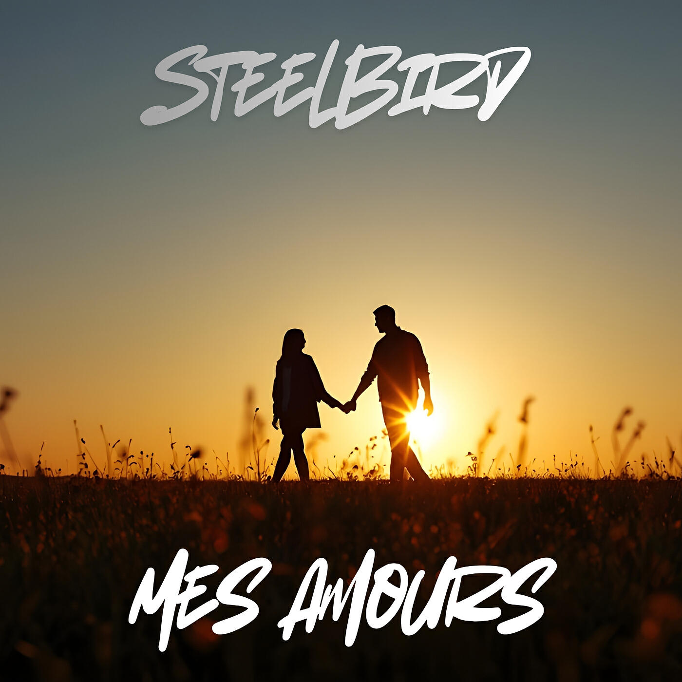 Релиз Mes Amours