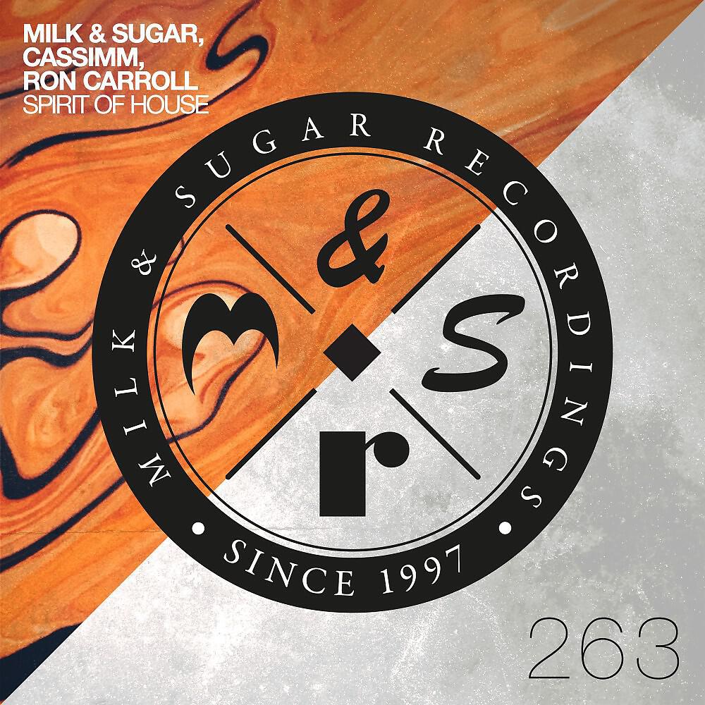 Скачать песню Cassimm, Ron Carroll, Milk & Sugar - Spirit of House бесплатно в MP3 для Android и iOS