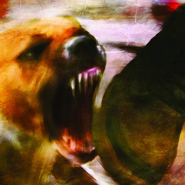 Релиз Pelkkää Pimeää