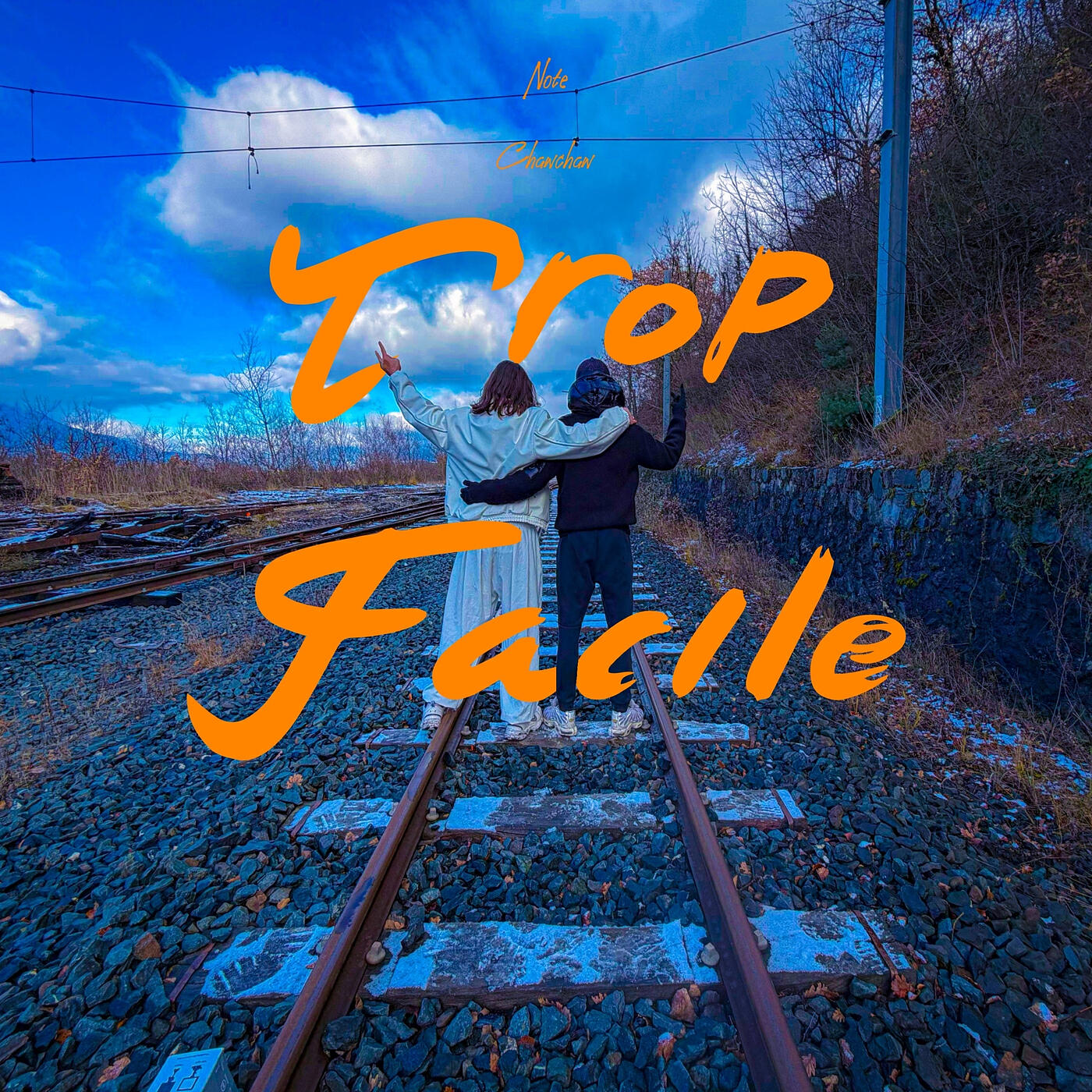 Релиз TROP FACILE