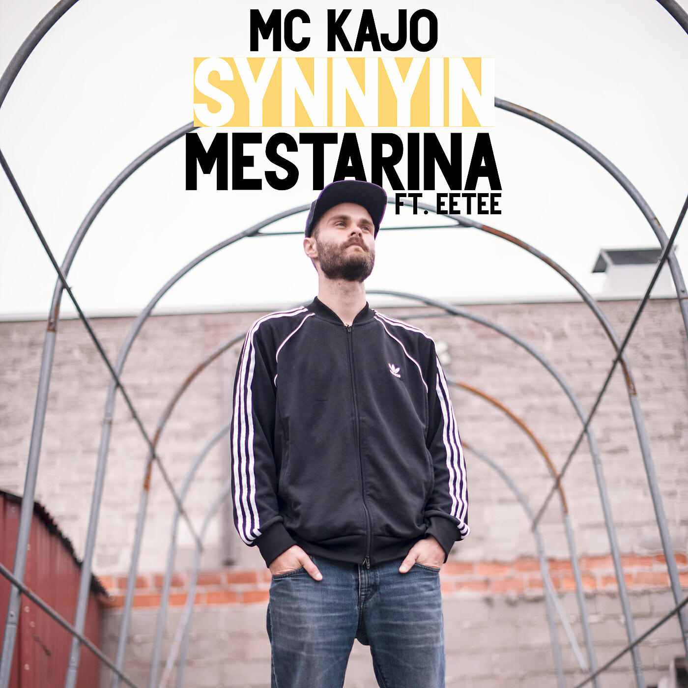Релиз Synnyin mestarina