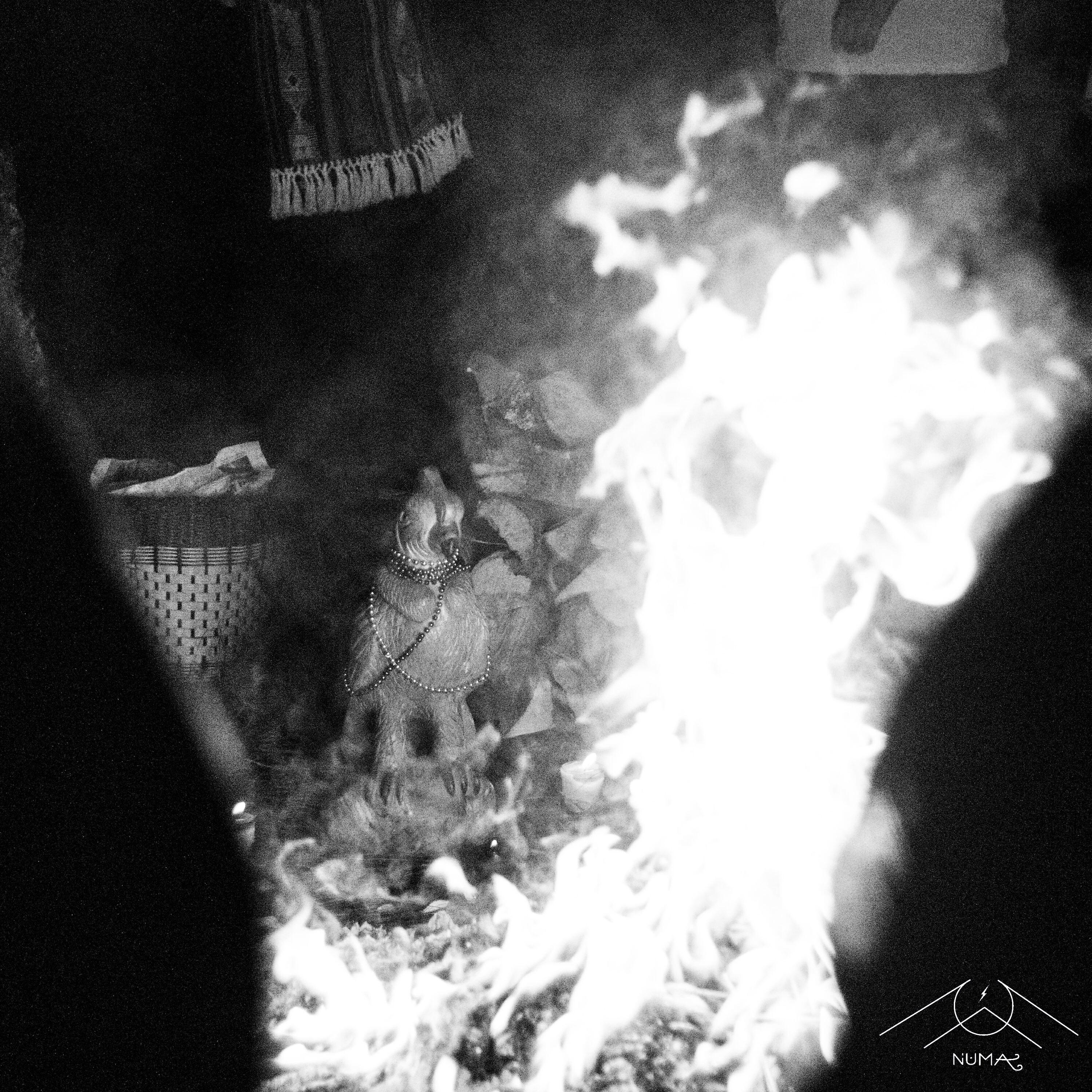 Релиз Numa - Fuego Sagrado