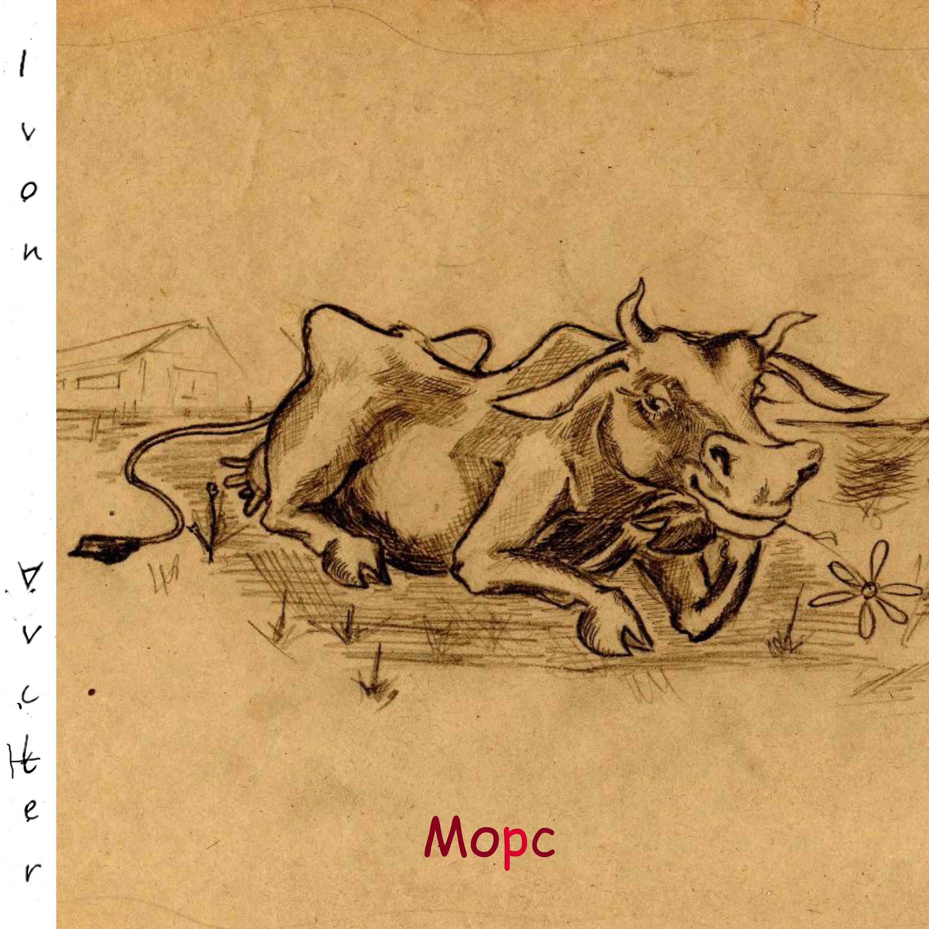Релиз Морс