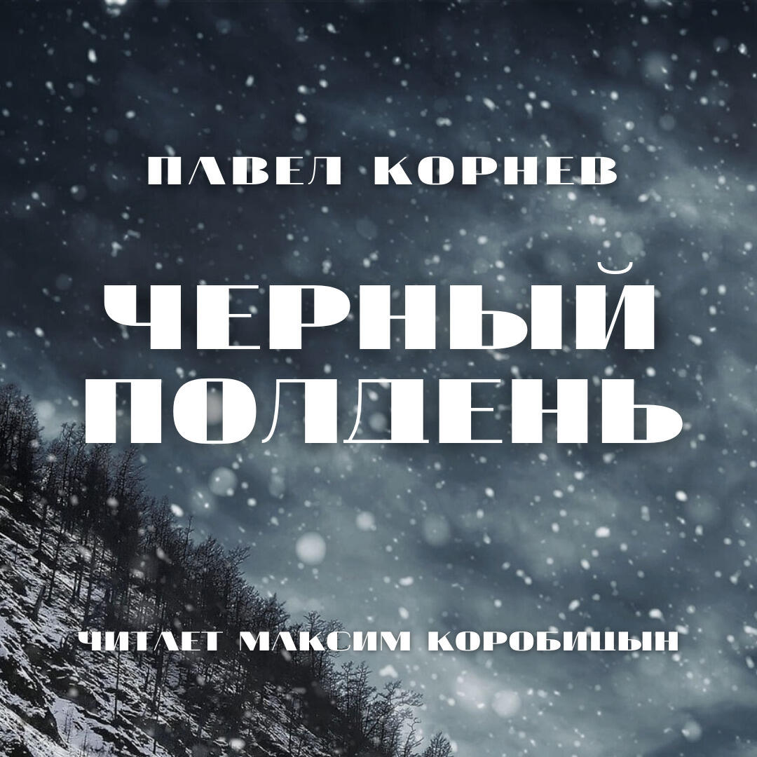 Книга Черный полдень
