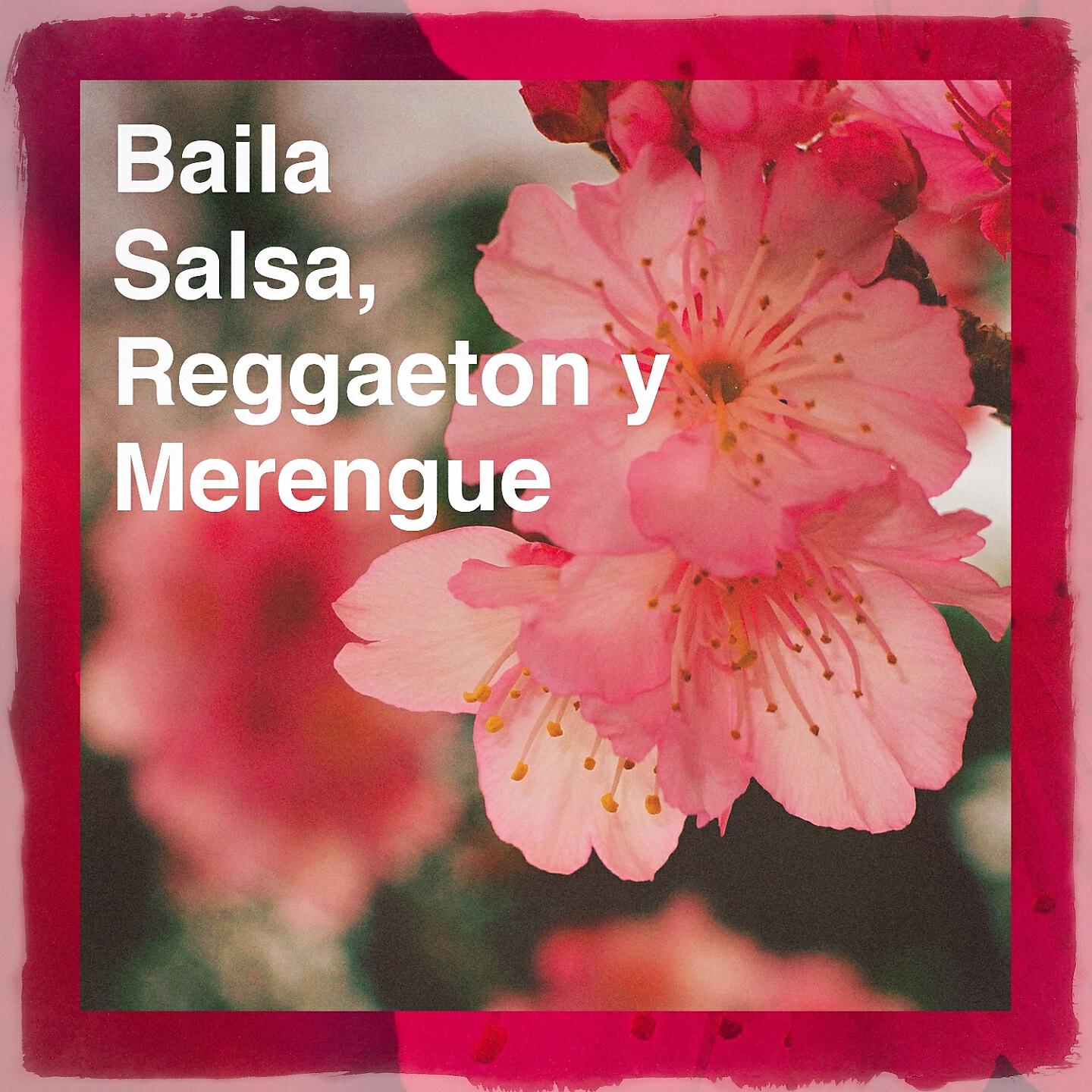 Релиз Baila Salsa, Reggaeton y Merengue