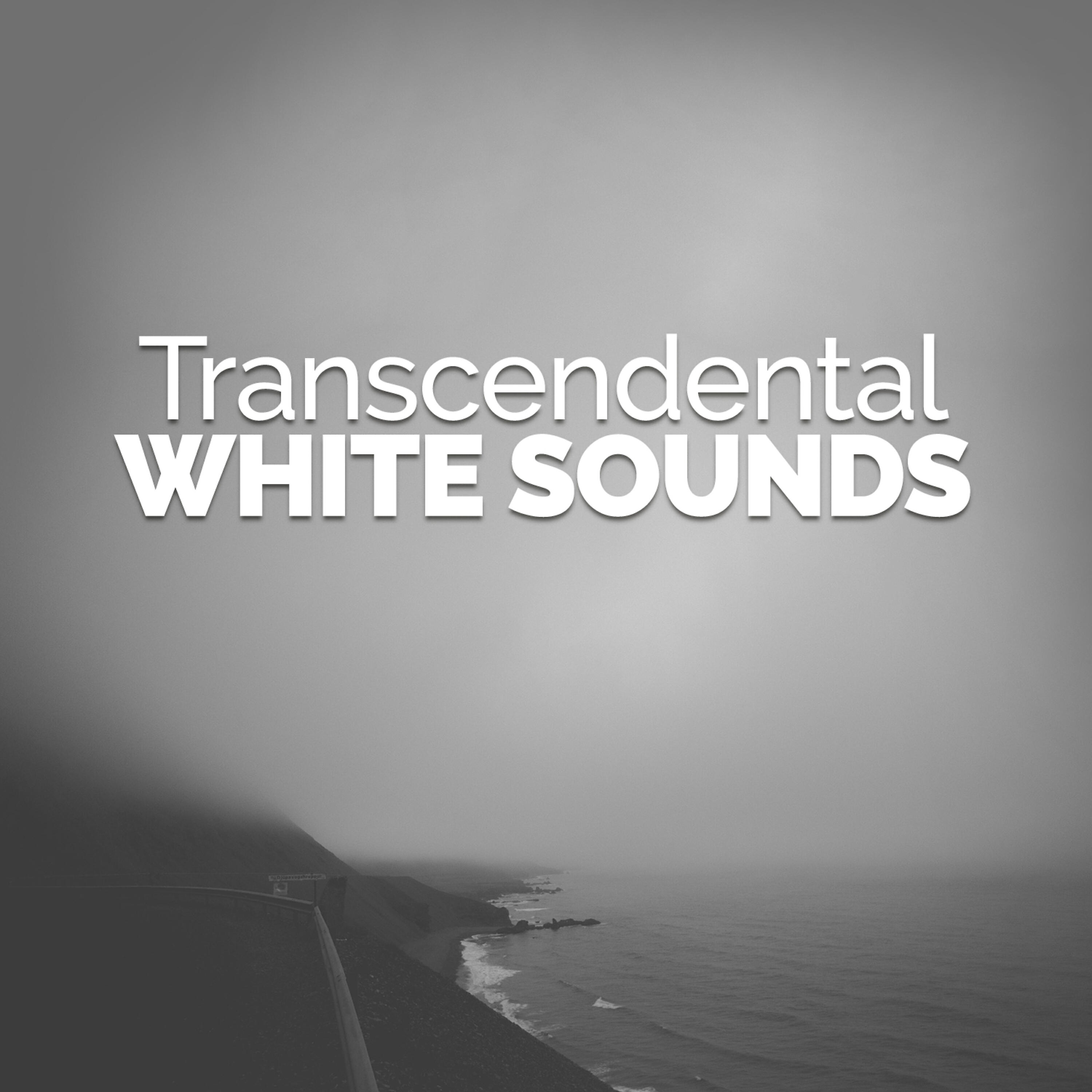 Релиз Transcendental White Sounds