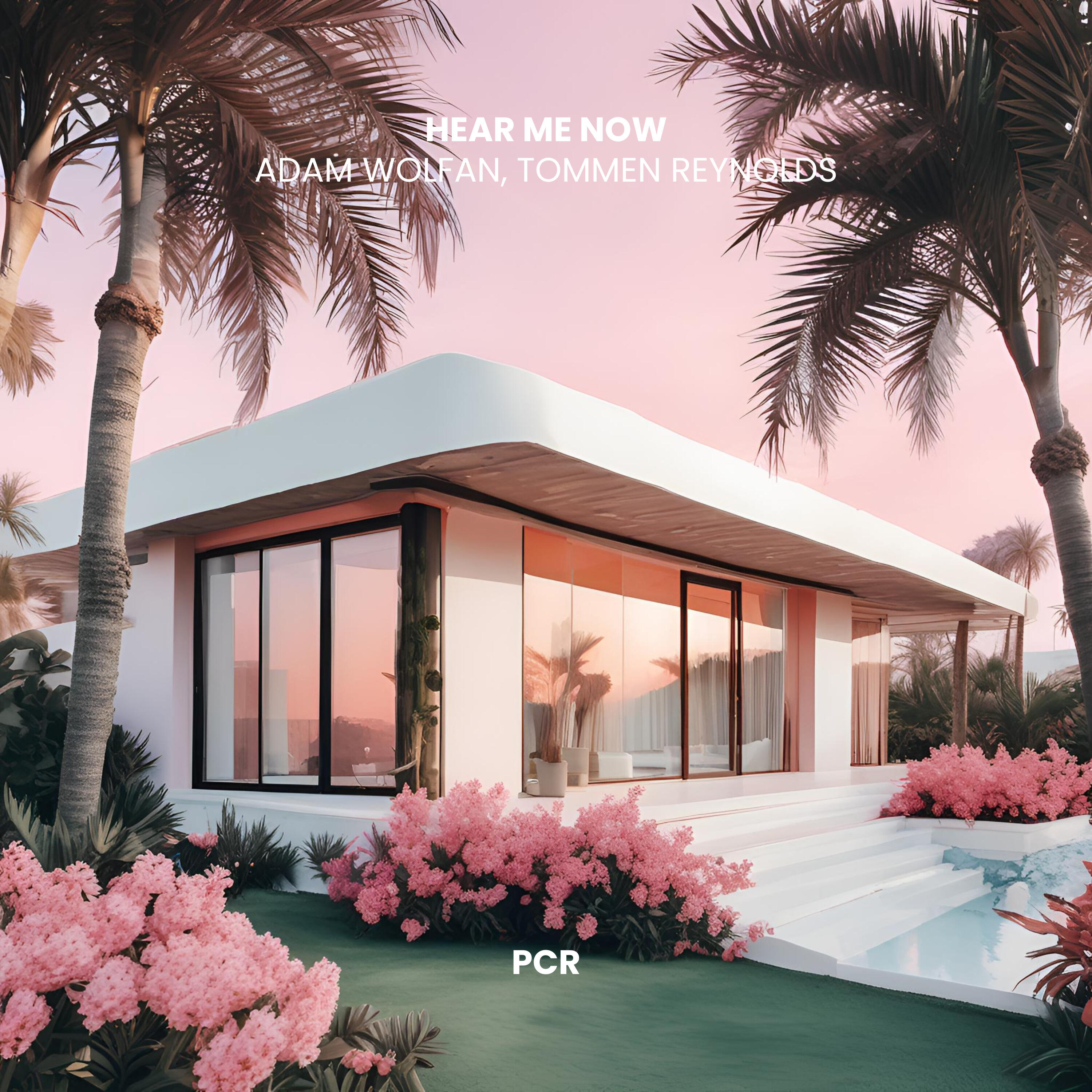 Релиз Hear Me Now (Tommen Reynolds Remix)