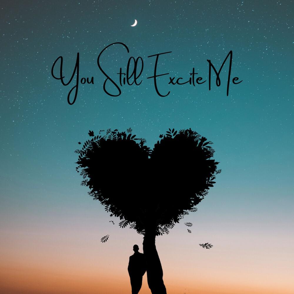 Релиз You Still Excite Me