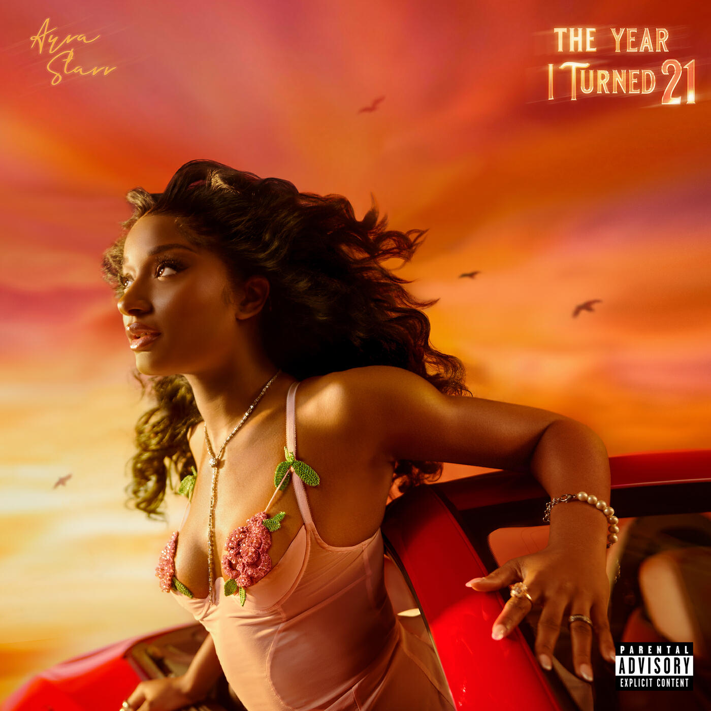 Релиз The Year I Turned 21