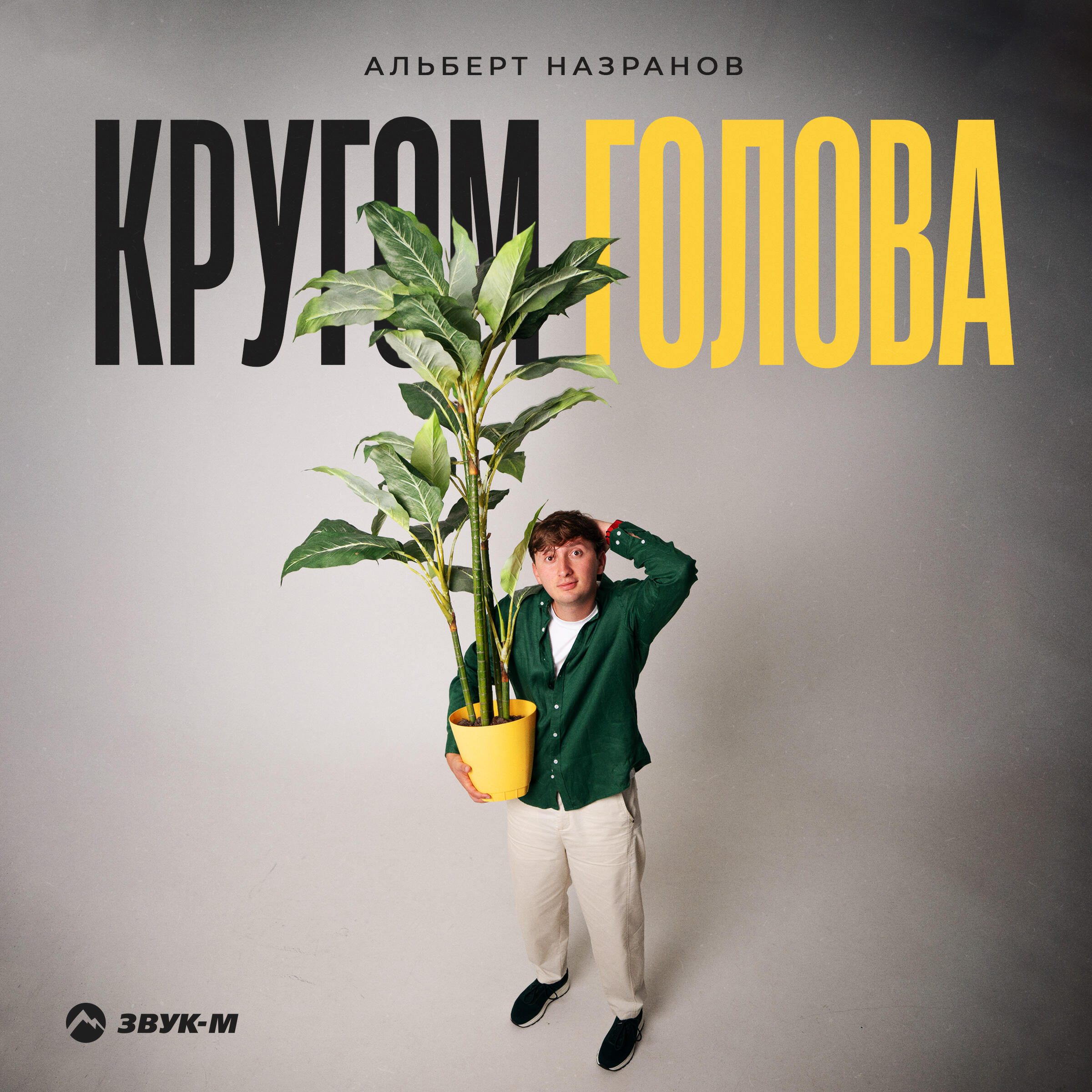 Релиз Кругом голова