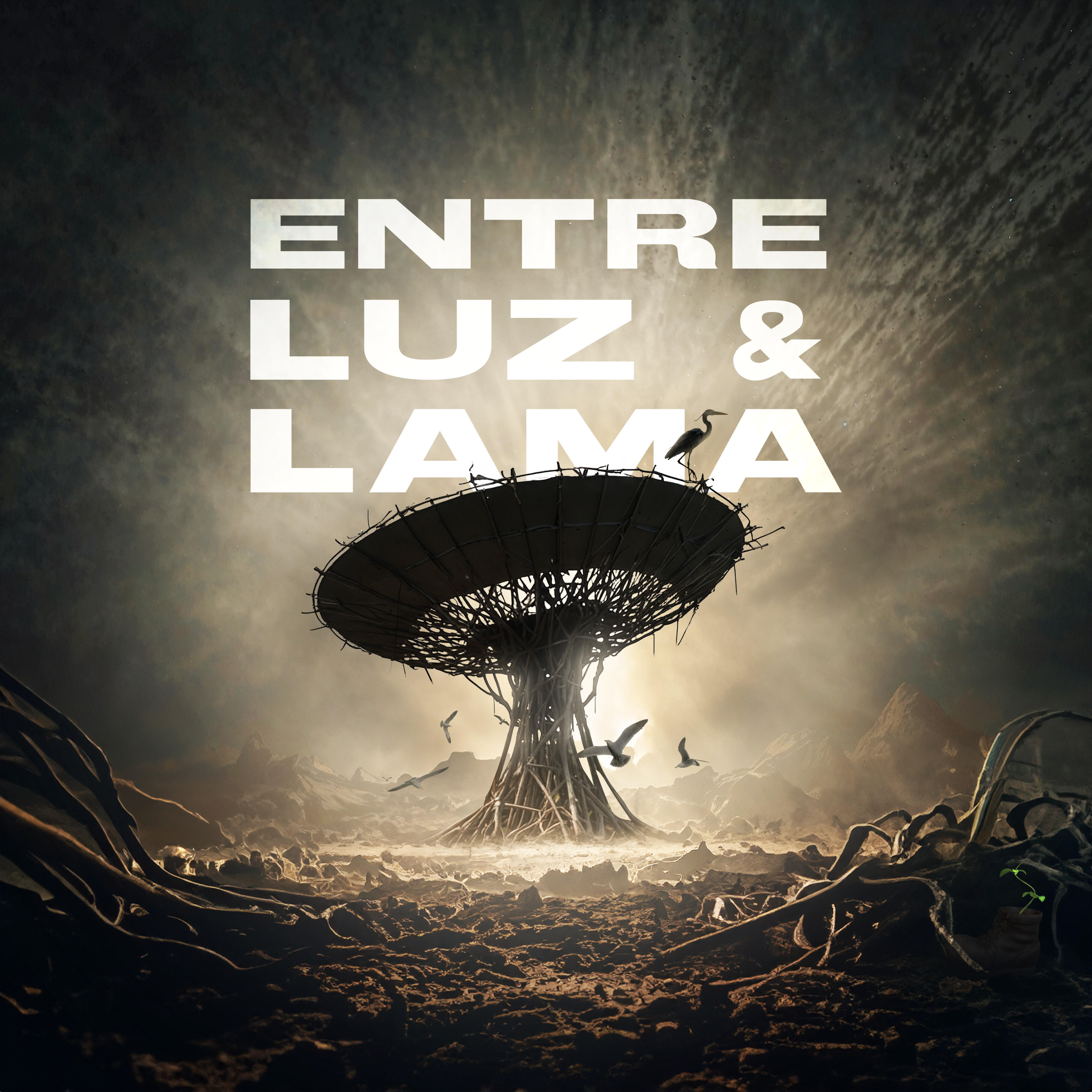 Релиз Entre Luz & Lama