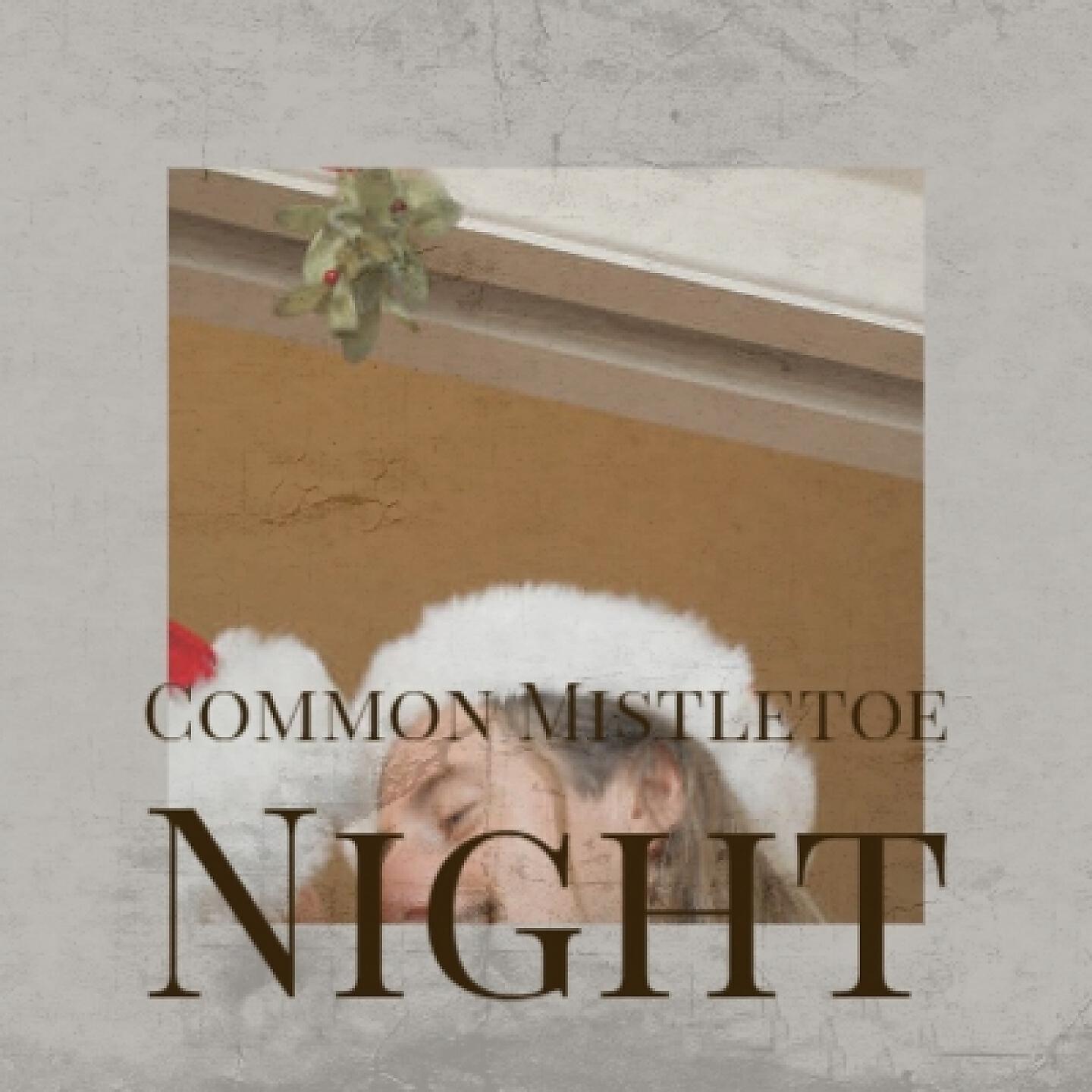 Релиз Common Mistletoe Night