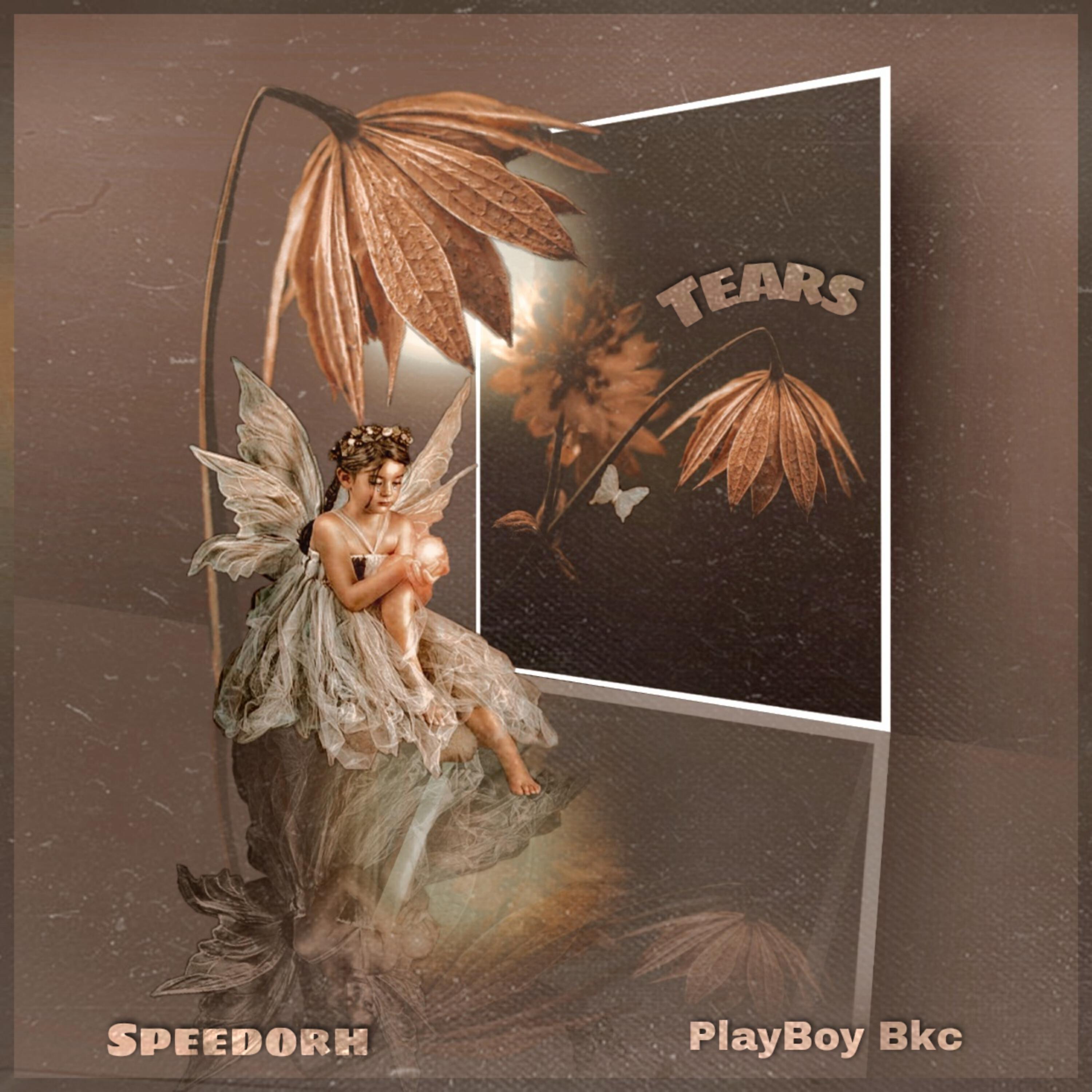Релиз Tears