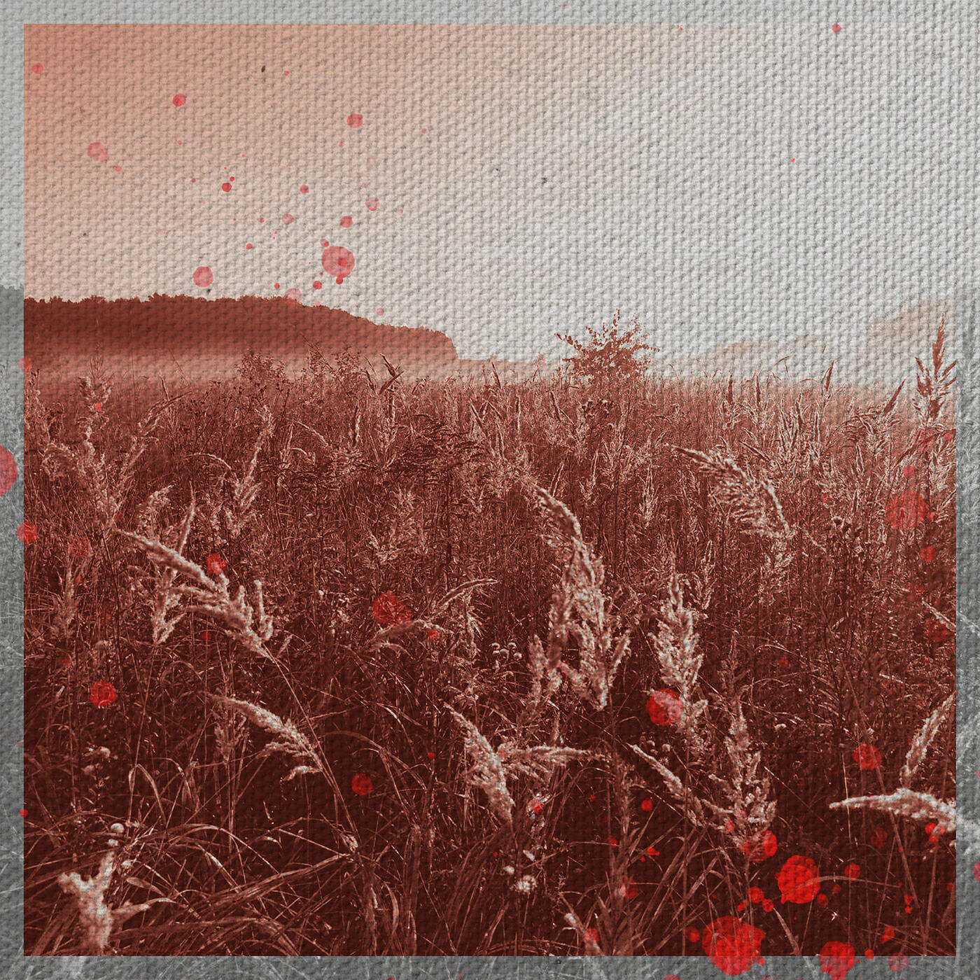 Релиз Кровь на снегу