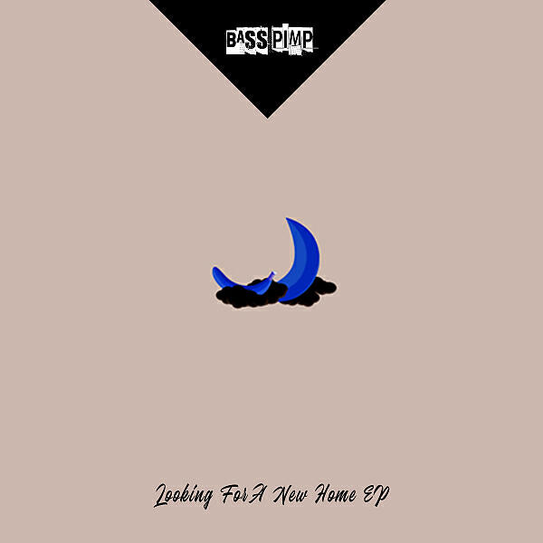 Постер альбома Looking For A New Home EP