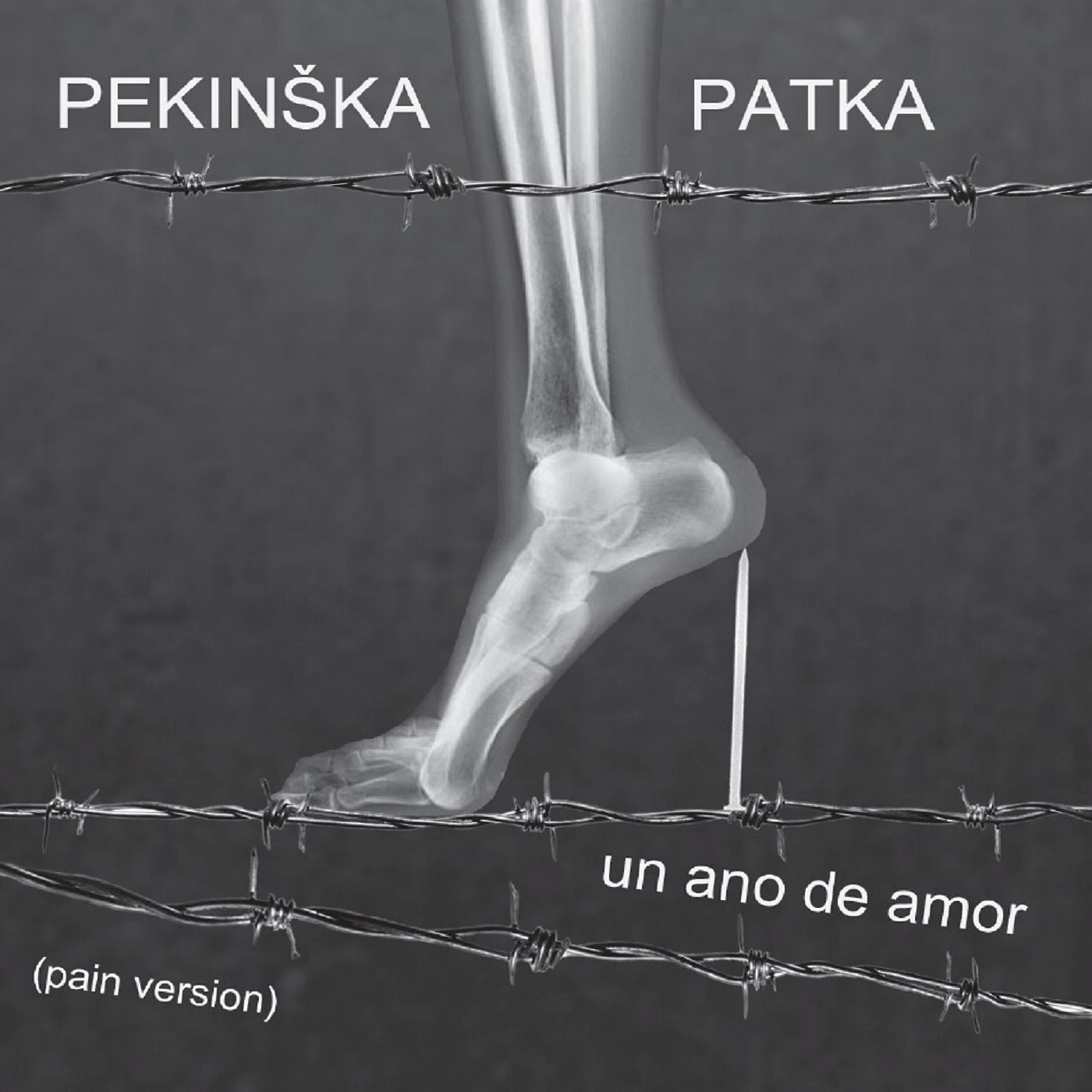 Pekinska patka
