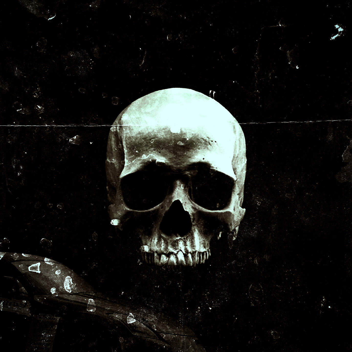 Релиз Bloody Phonk