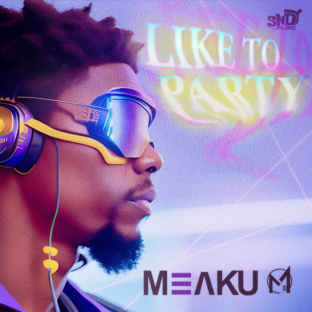 Релиз Like To Party
