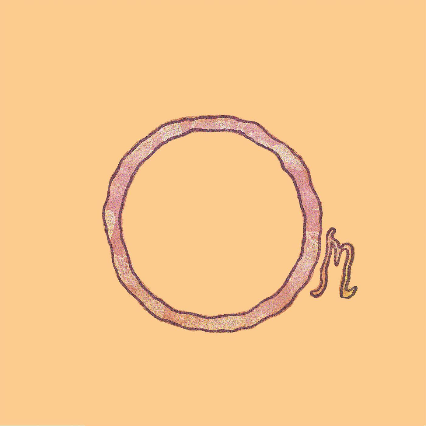 Релиз OM