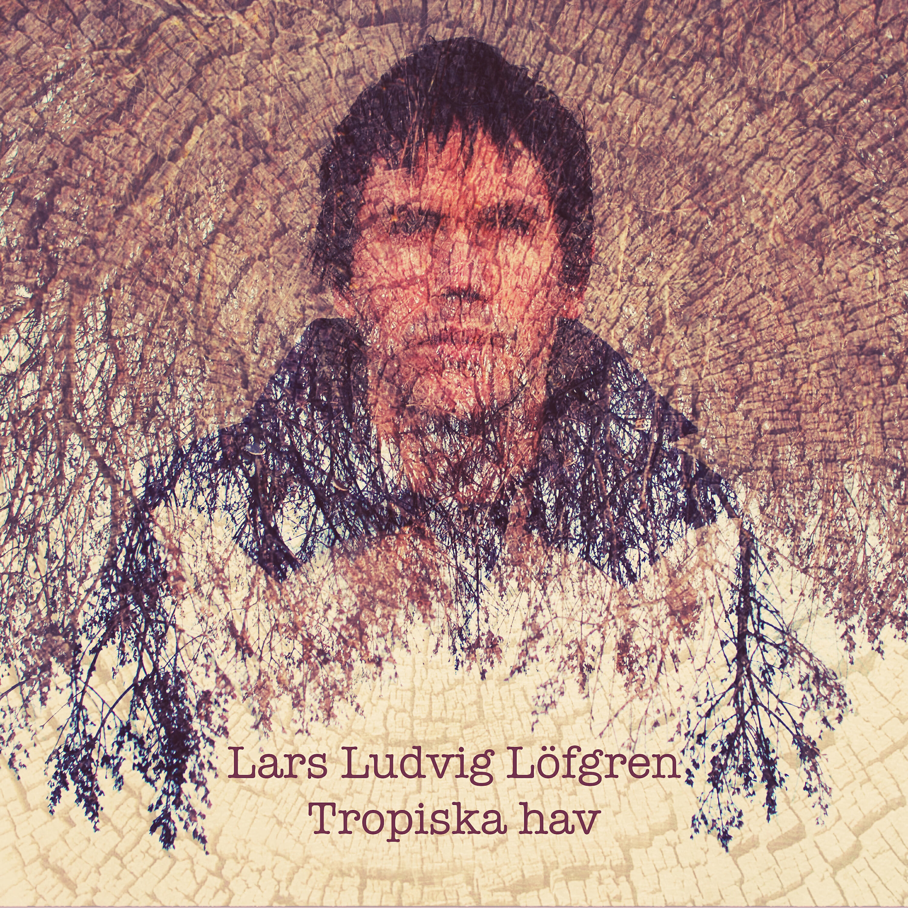 Релиз Tropiska Hav
