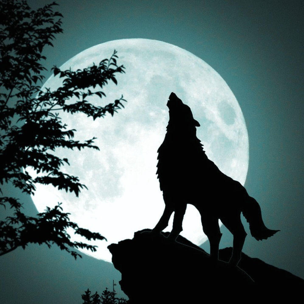 Релиз Wolf Howling at the Moon