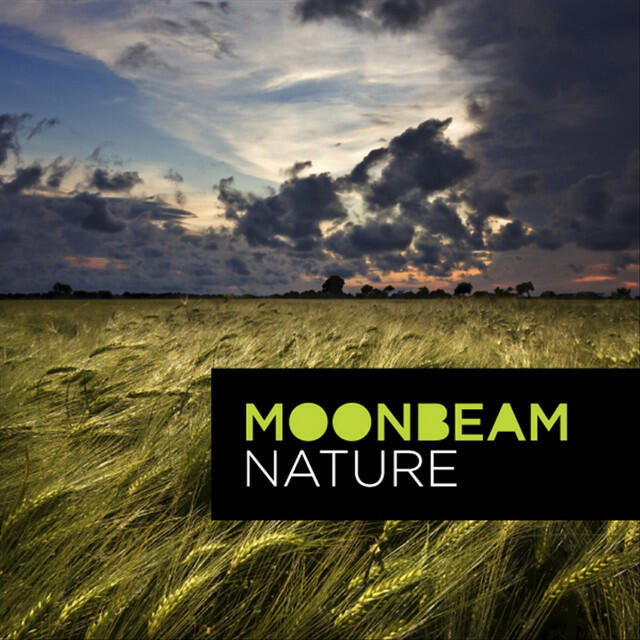 Релиз Nature