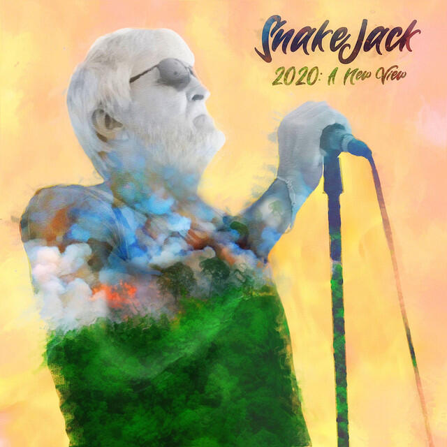 Релиз 2020 a New View