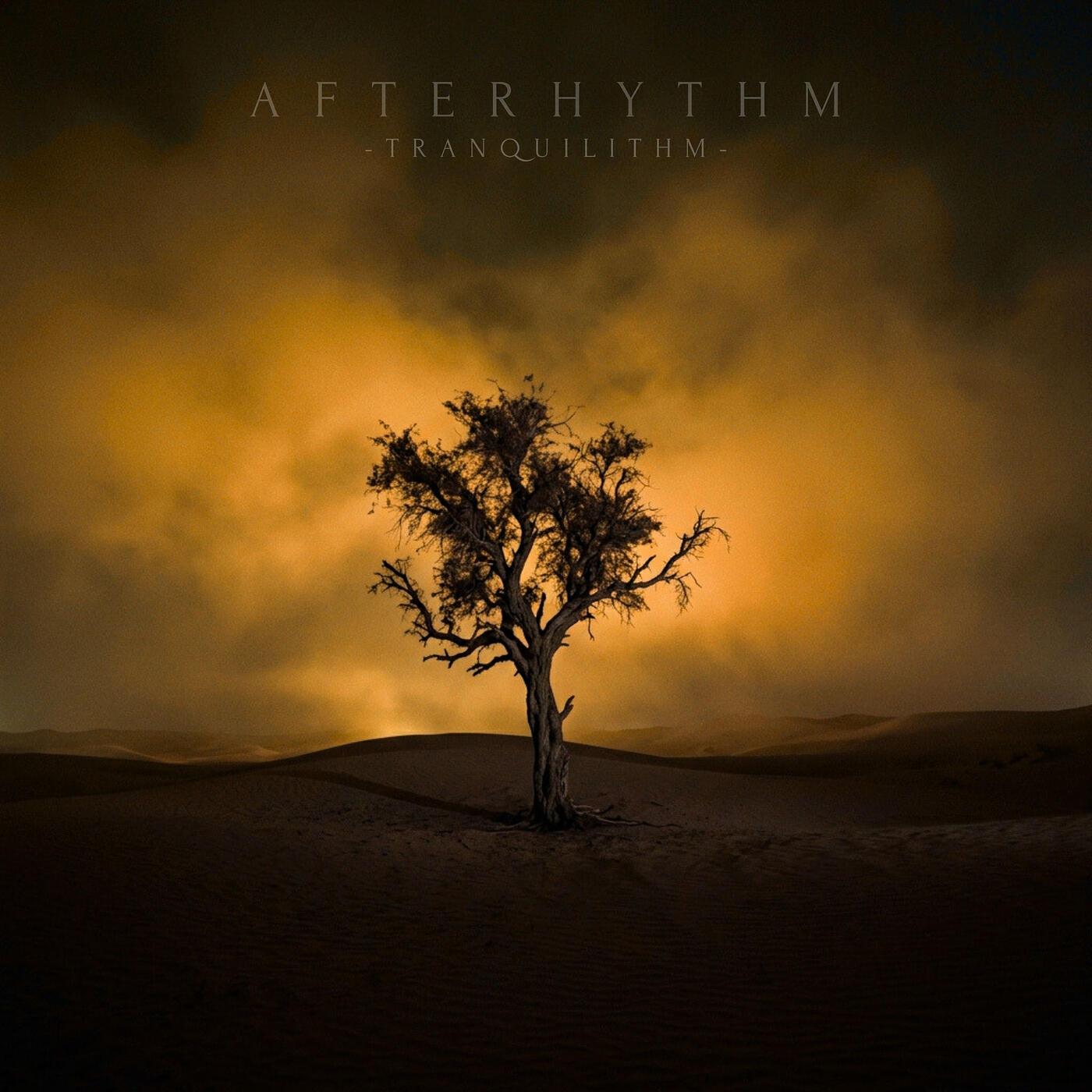 Релиз Afterhythm