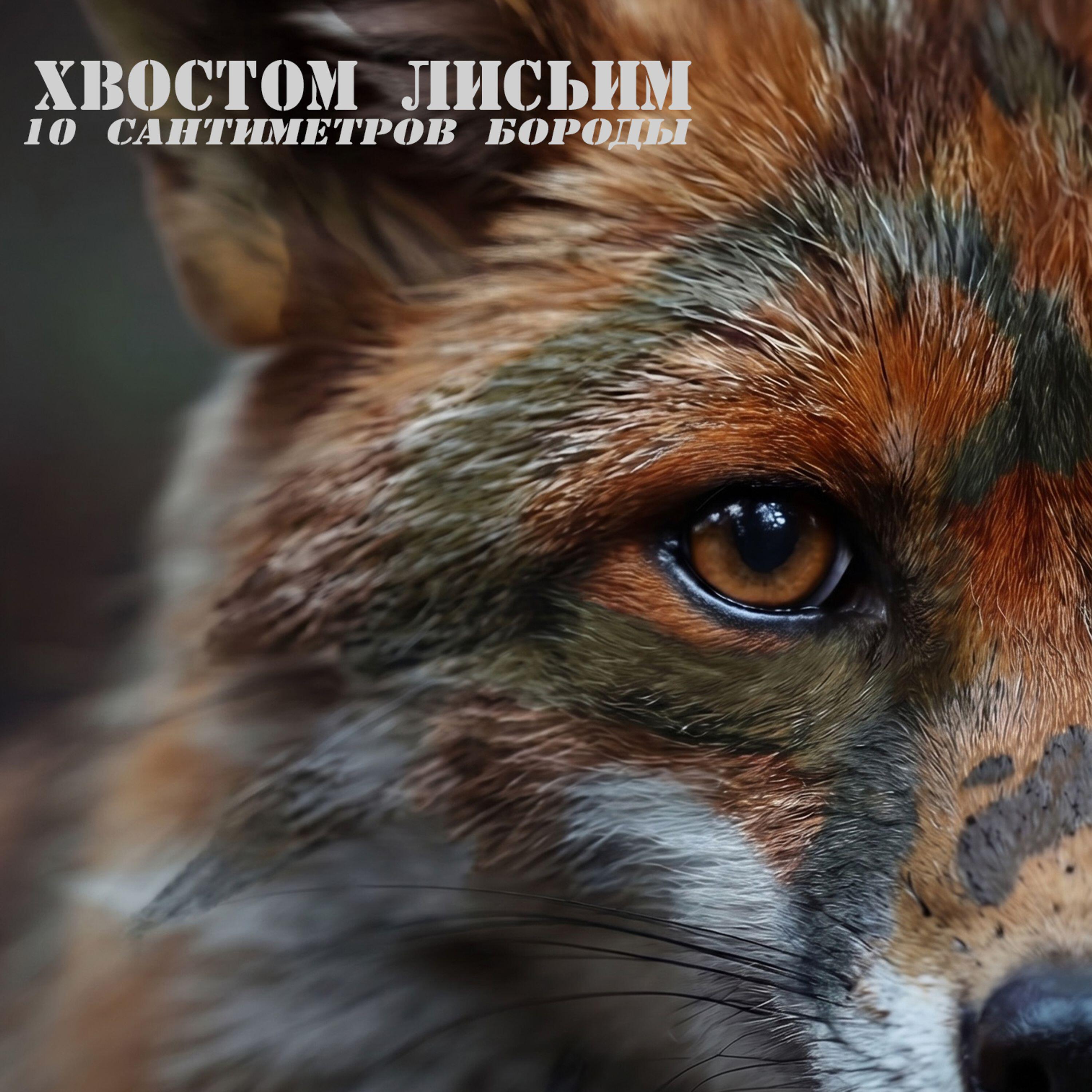 Релиз Хвостом Лисьим