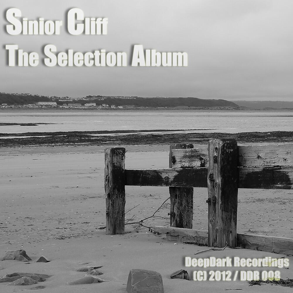 Релиз The Selection Album