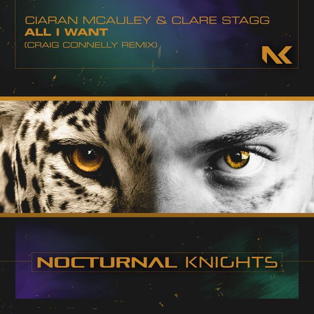 Релиз All I Want (Craig Connelly Remix)