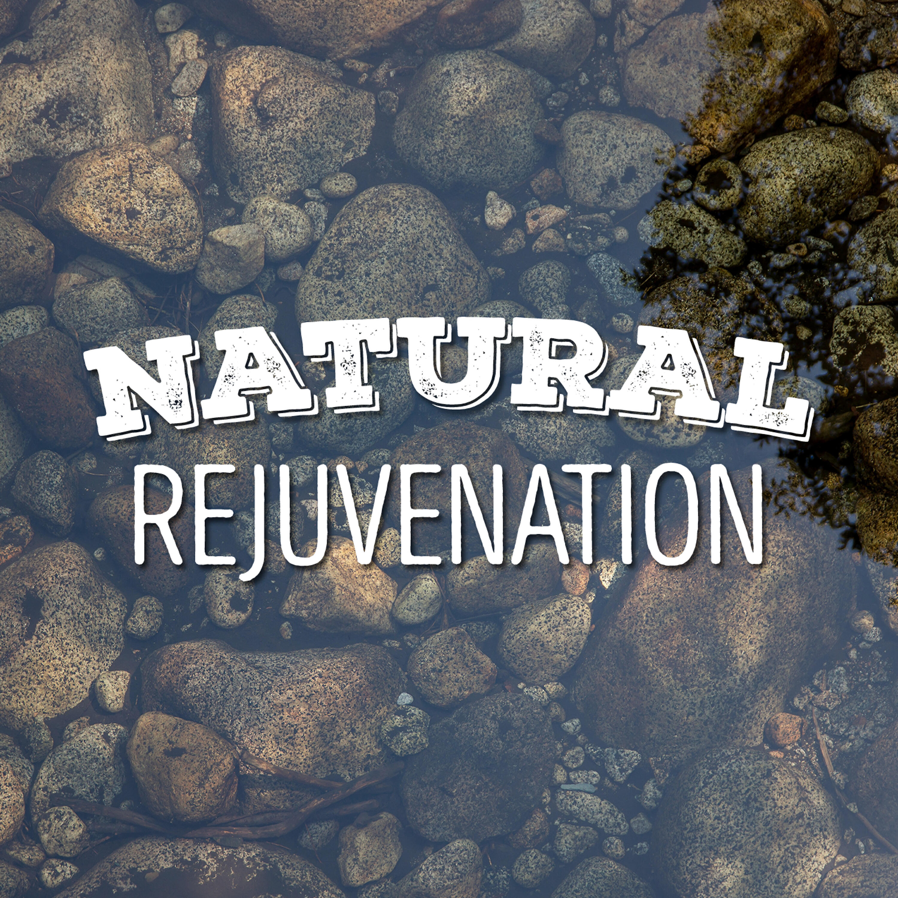 Постер альбома Natural Rejuvenation