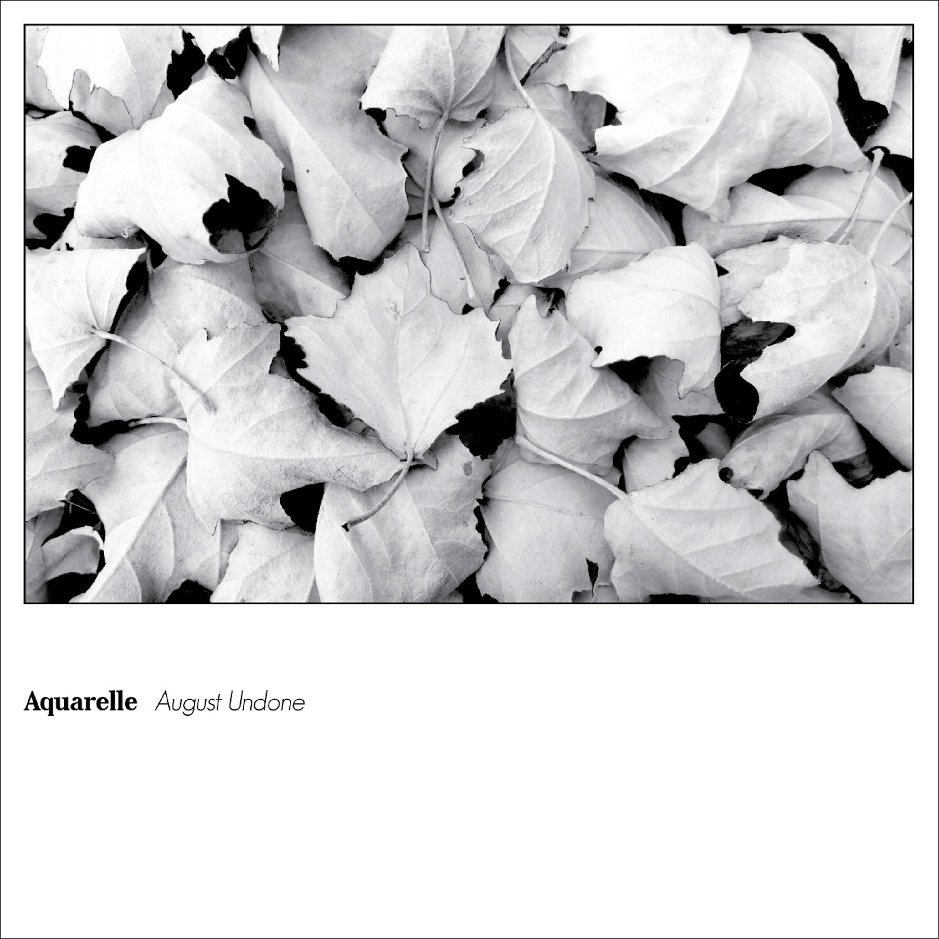 Релиз August Undone