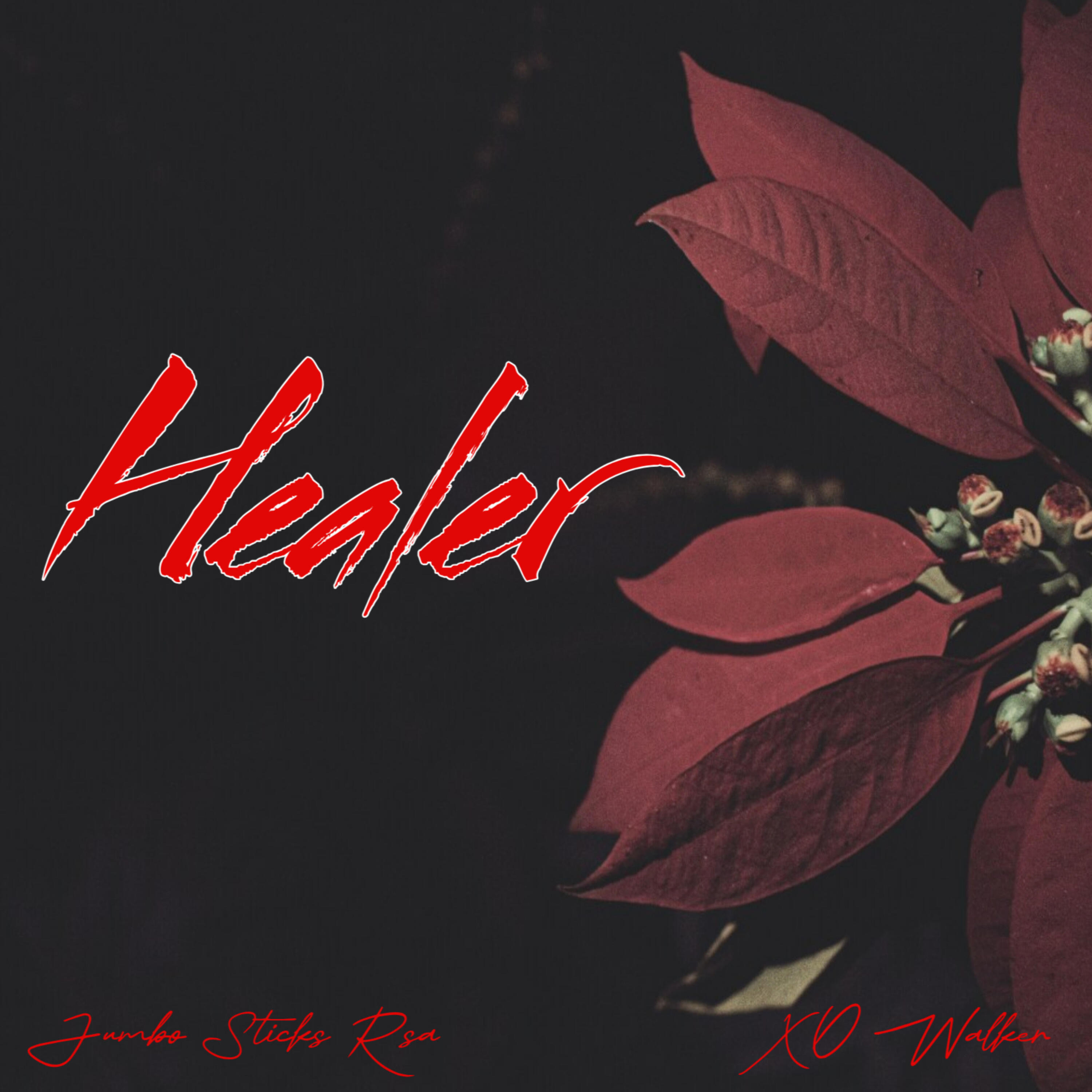 Релиз Healer