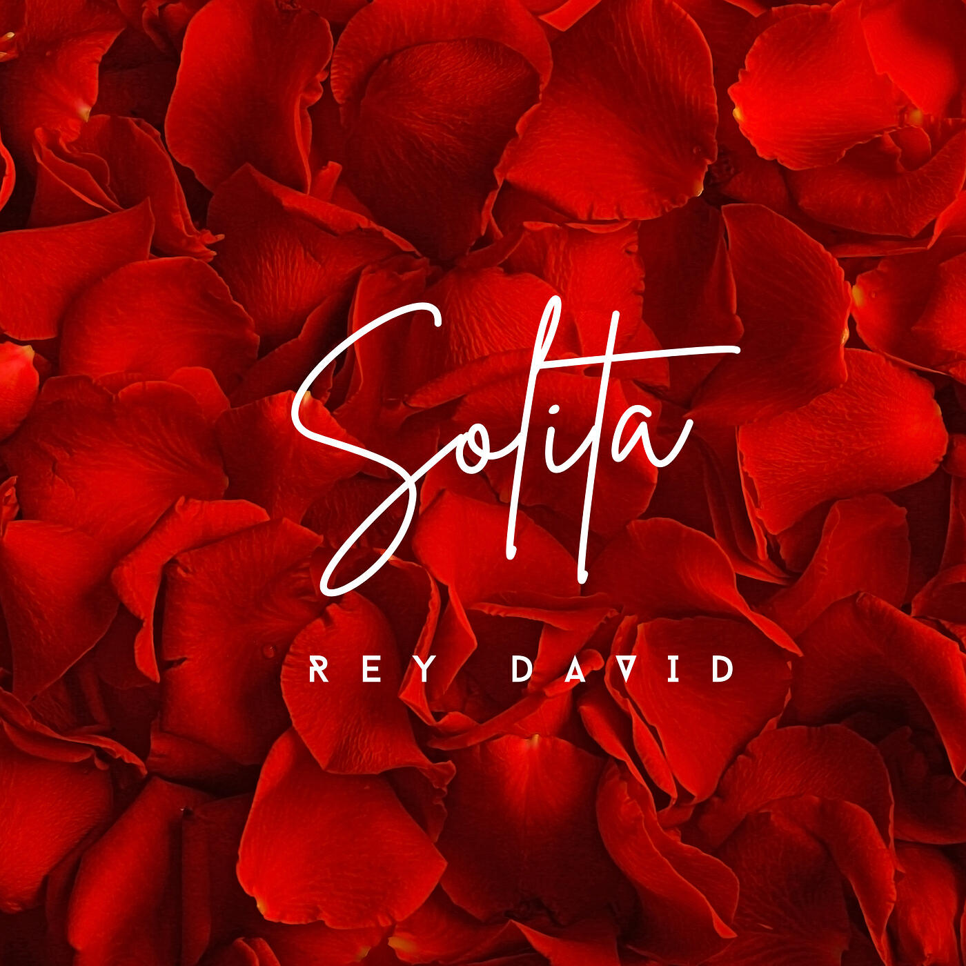 Релиз Solita