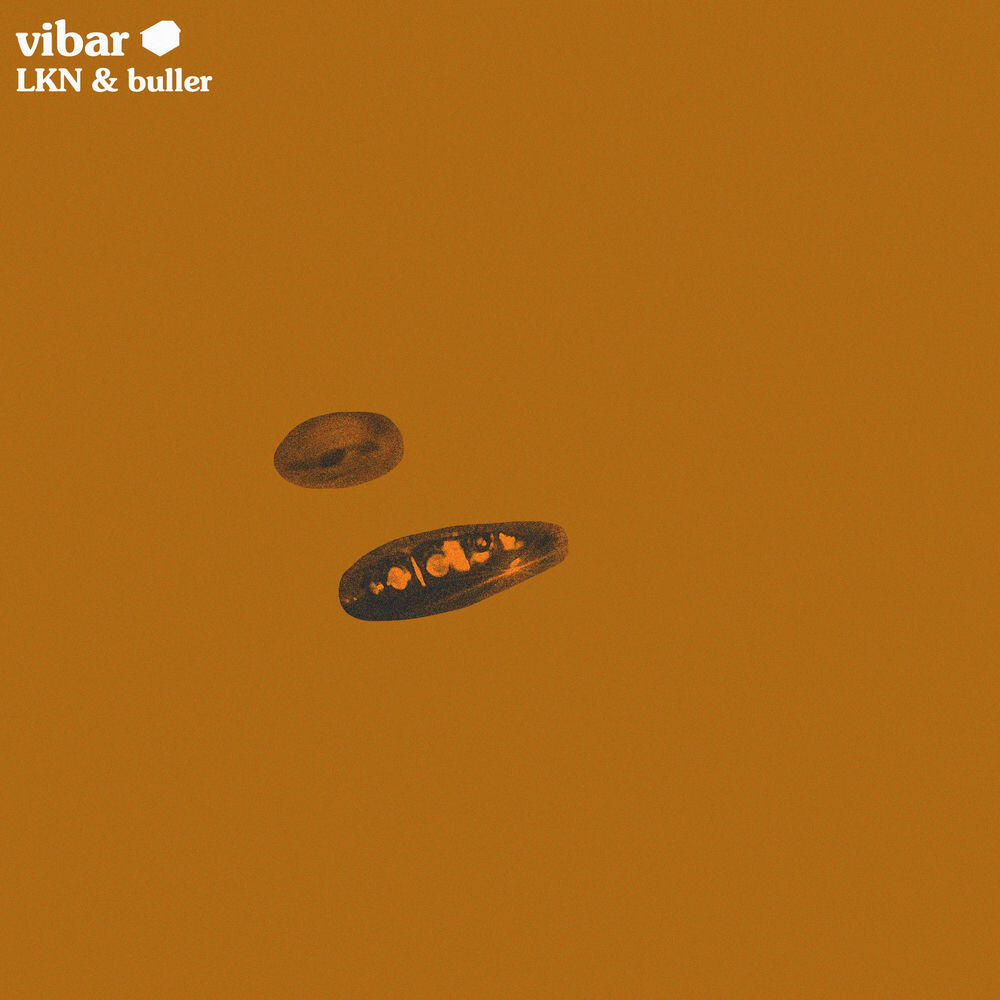 Релиз Vibar