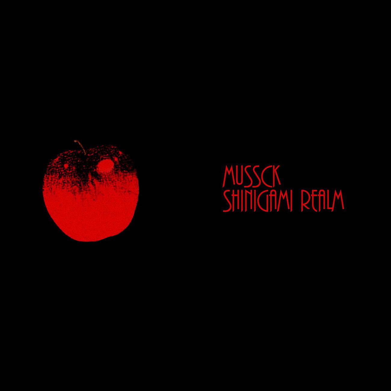 Релиз Shinigami Realm