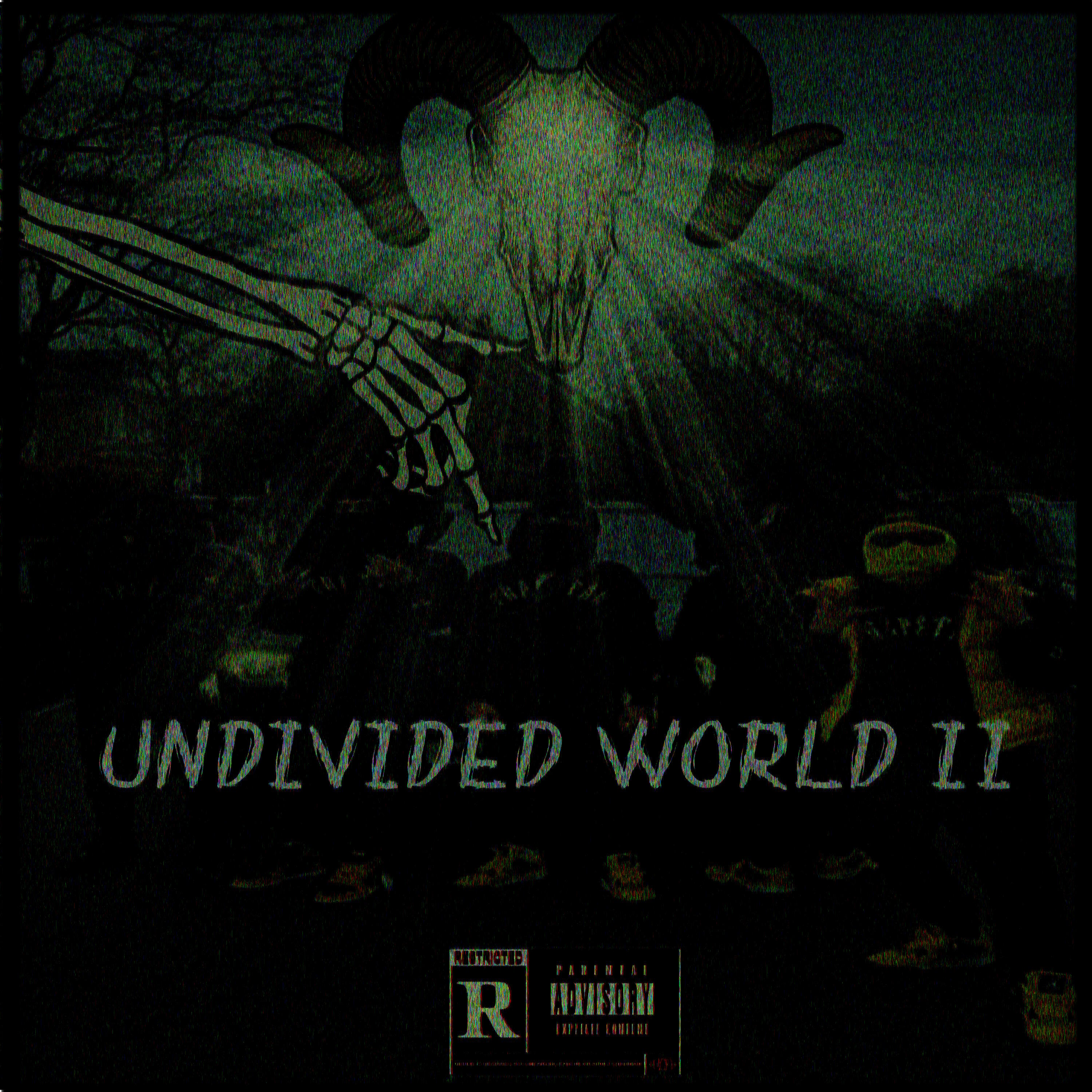 Релиз UNDIVIDED WORLD II