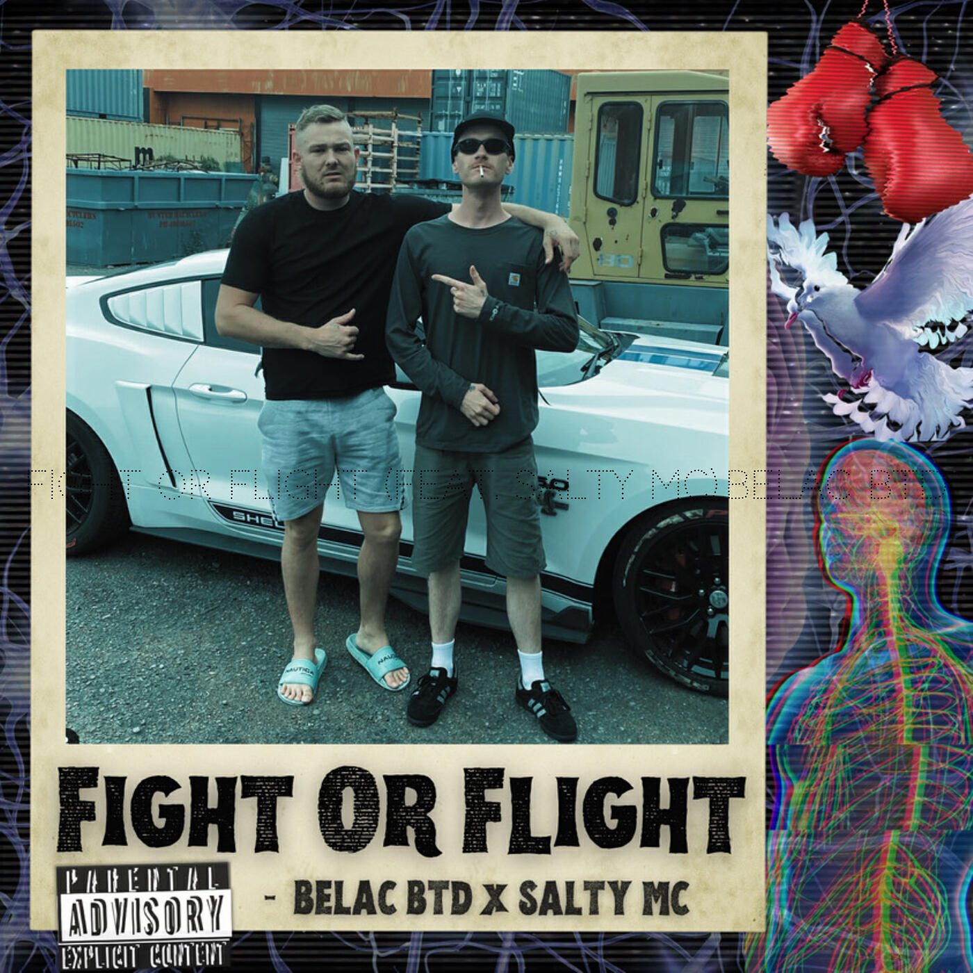 Релиз Fight or Flight
