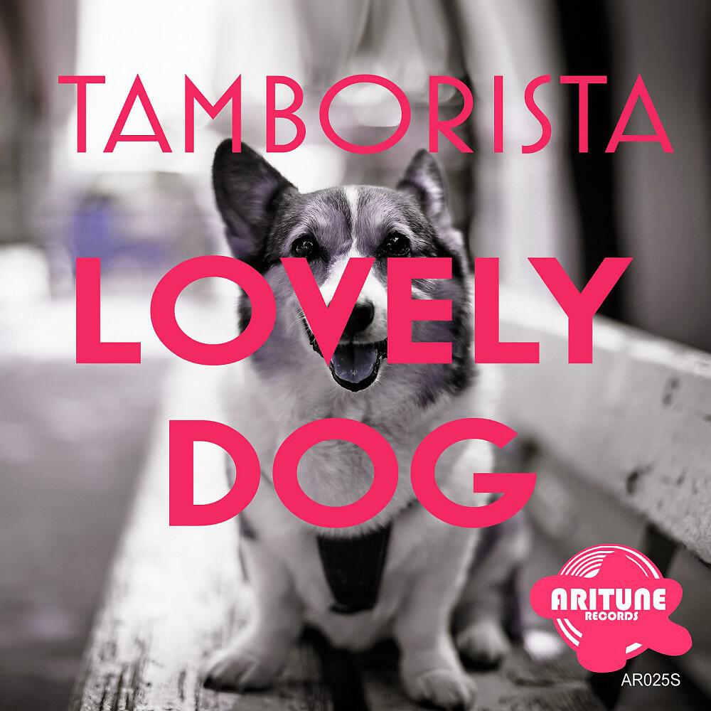 Tamborista