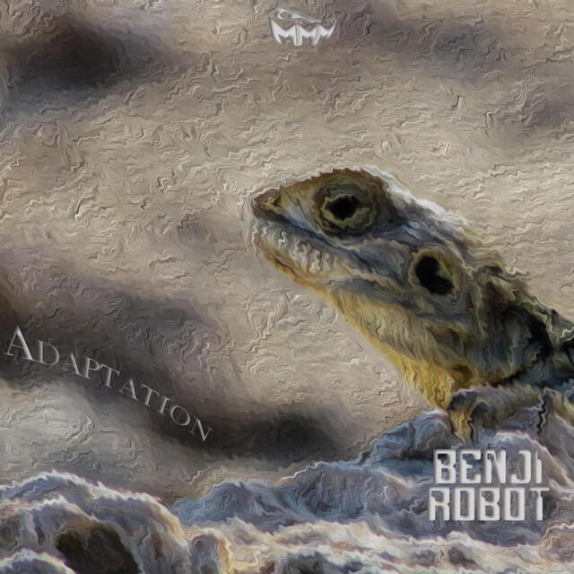 Релиз Adaptation