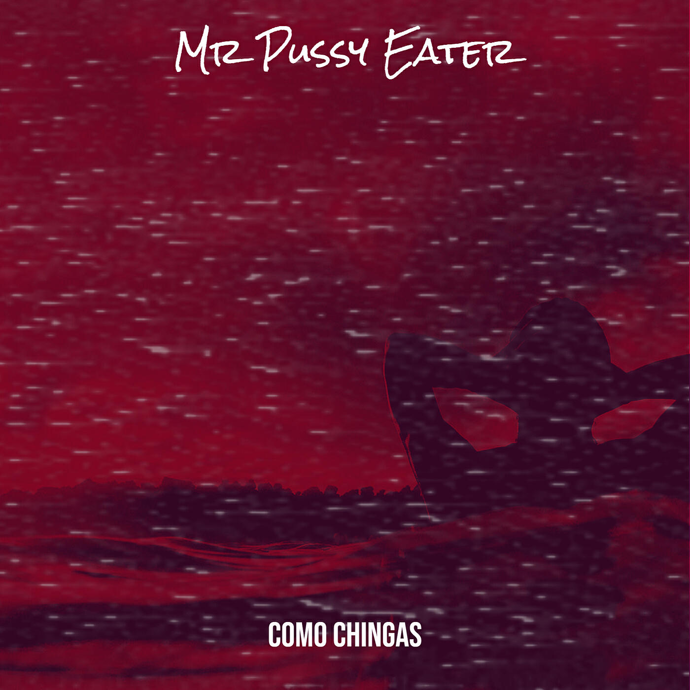 Постер альбома Mr Pussy Eater