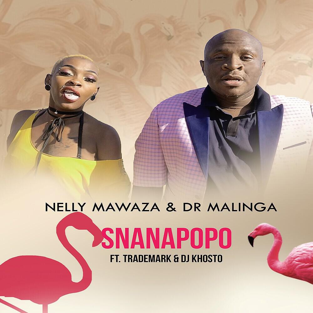 Релиз Snanapopo