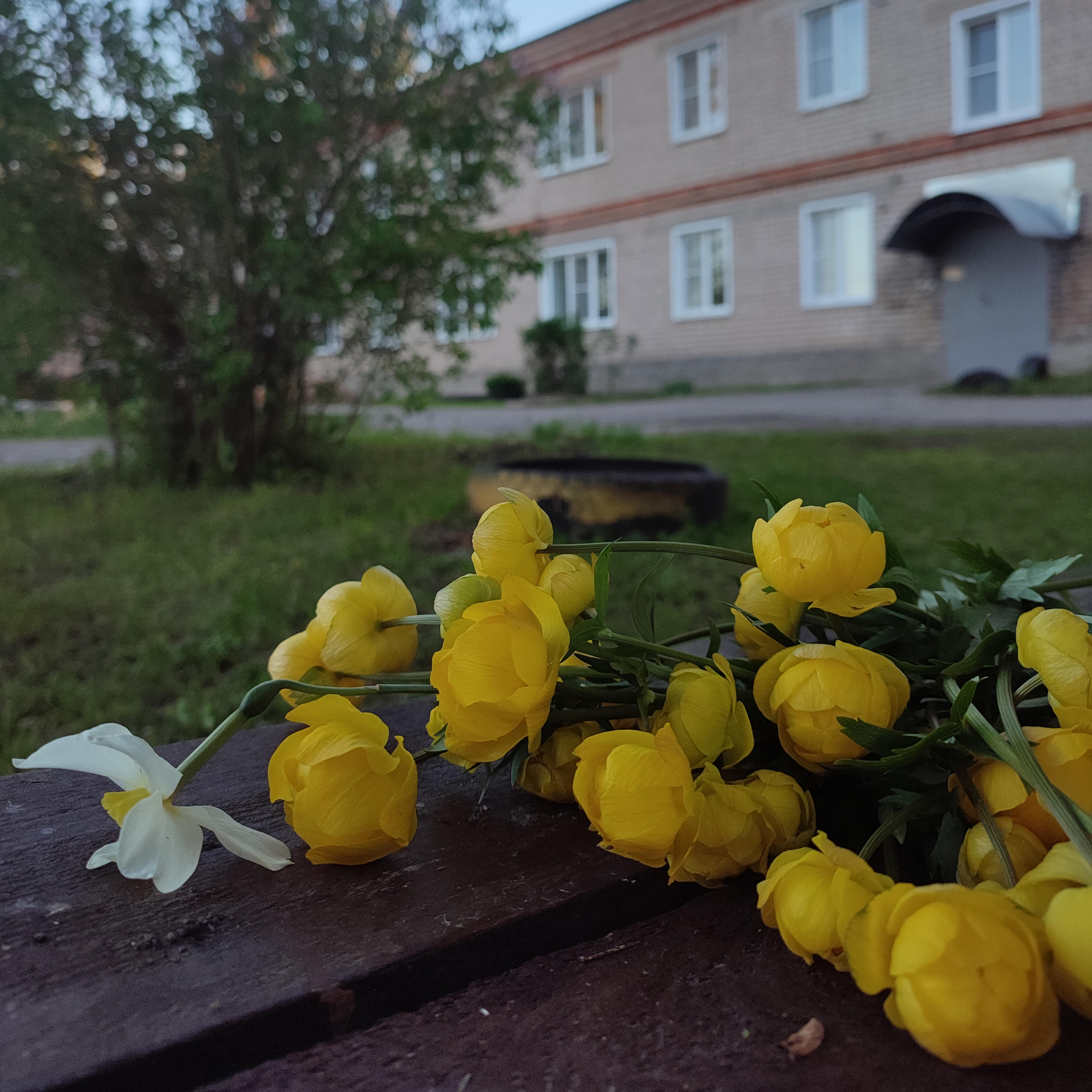 Постер альбома Старт взрослой жизни