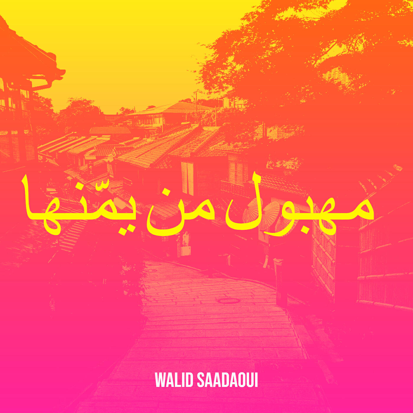 walid saadaoui